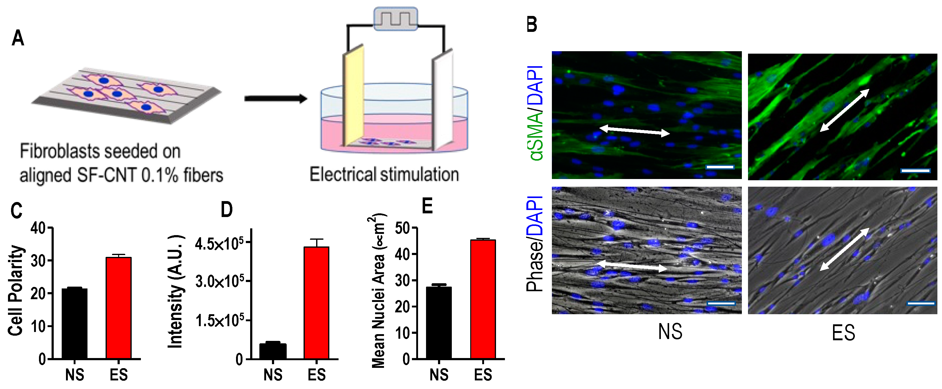Polymers 15 00091 g005 Polymers 15 00091 g005