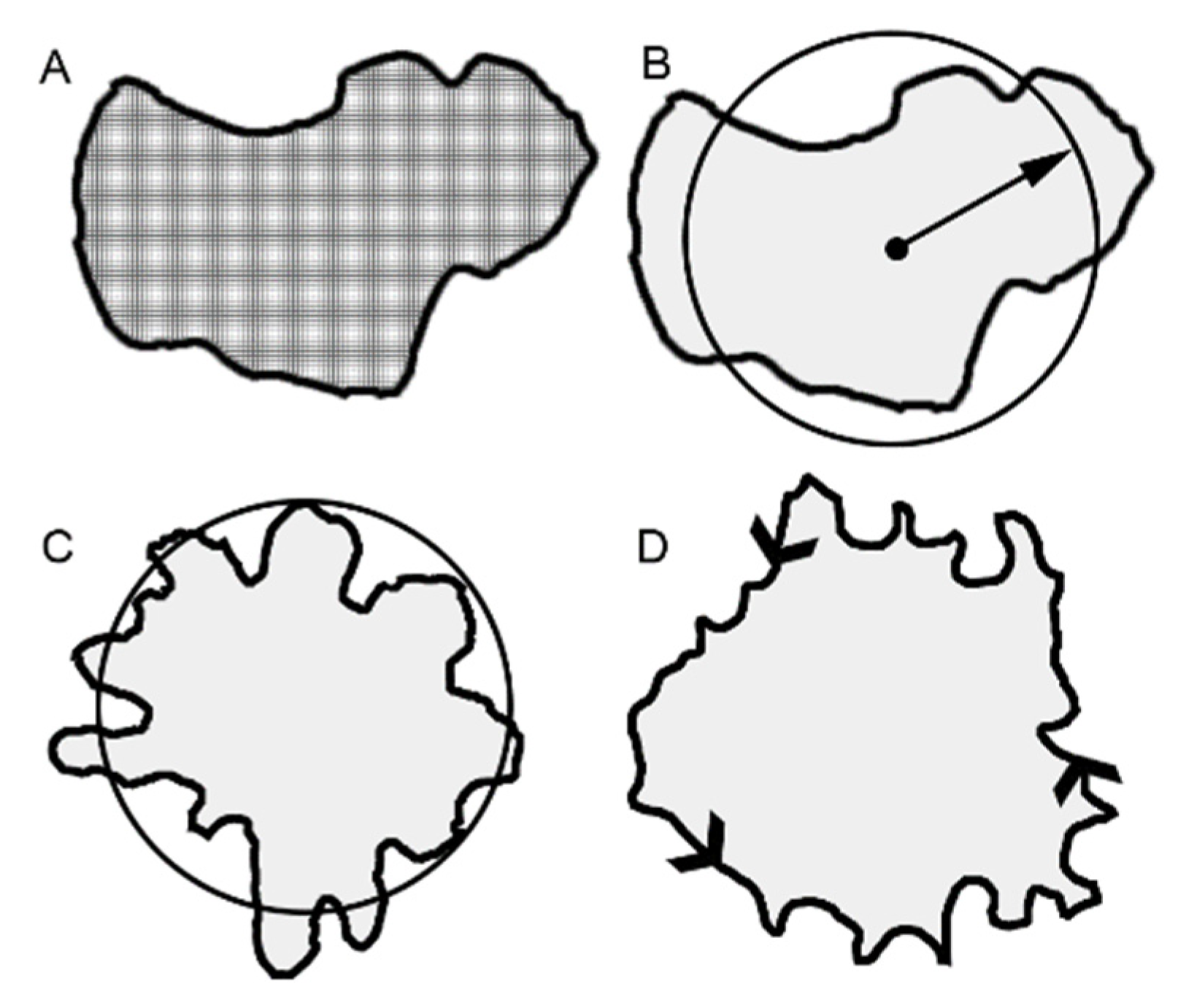Polymers 15 00092 g001