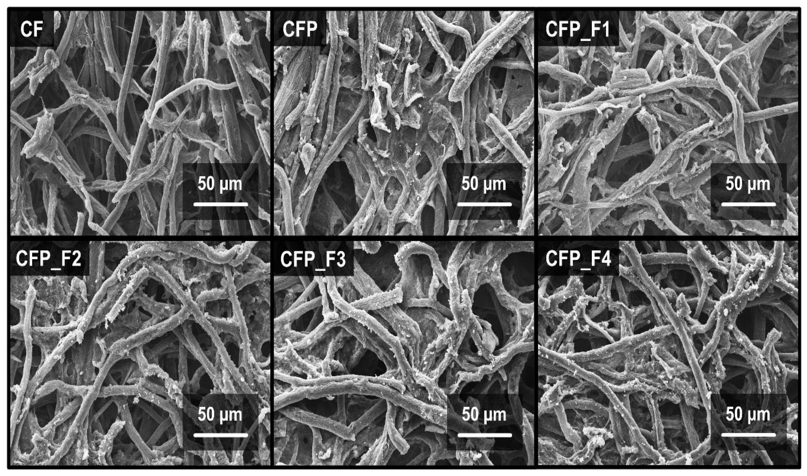 Polymers 15 00094 g002 Polymers 15 00094 g002