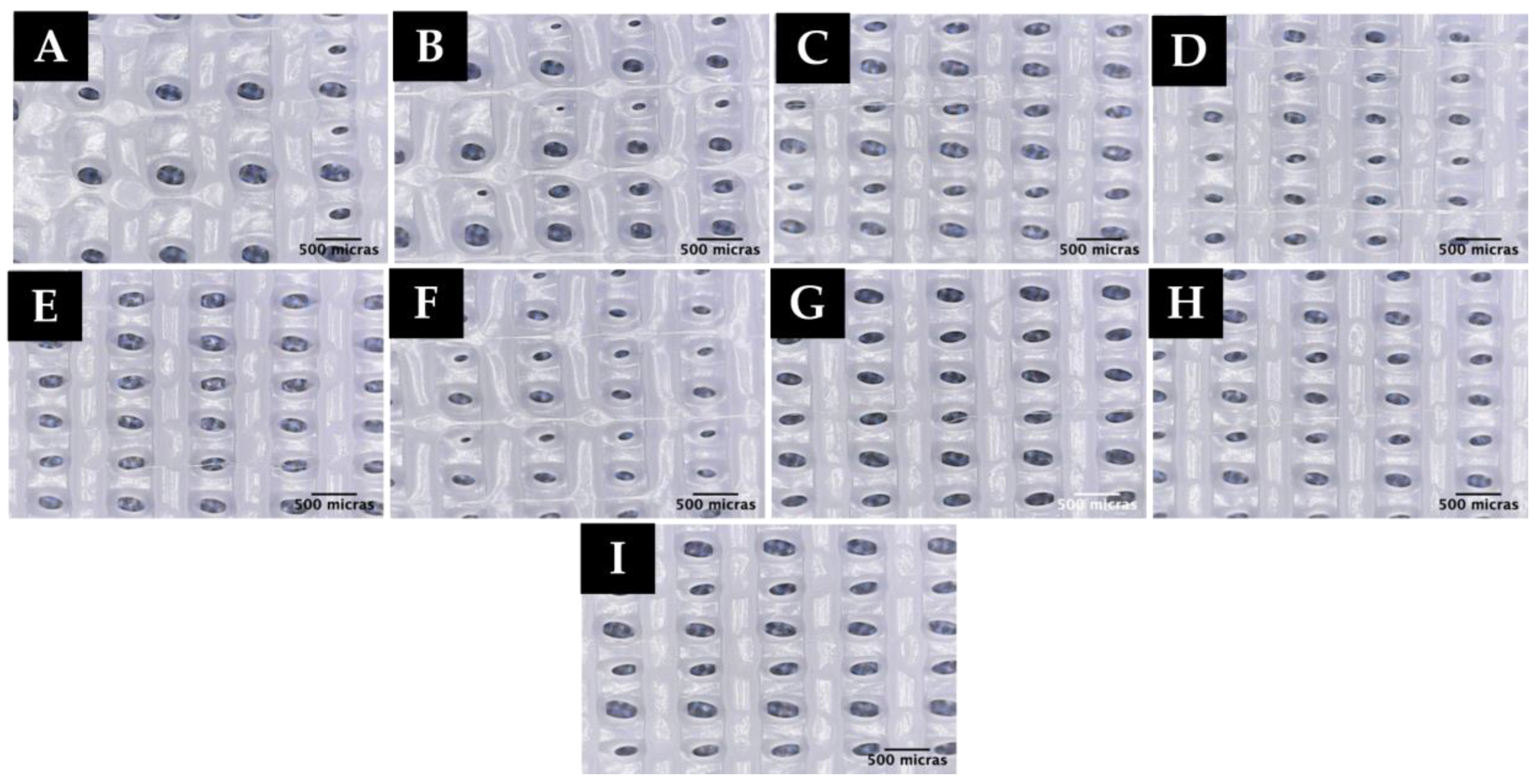Polymers 15 00096 g009 Polymers 15 00096 g009