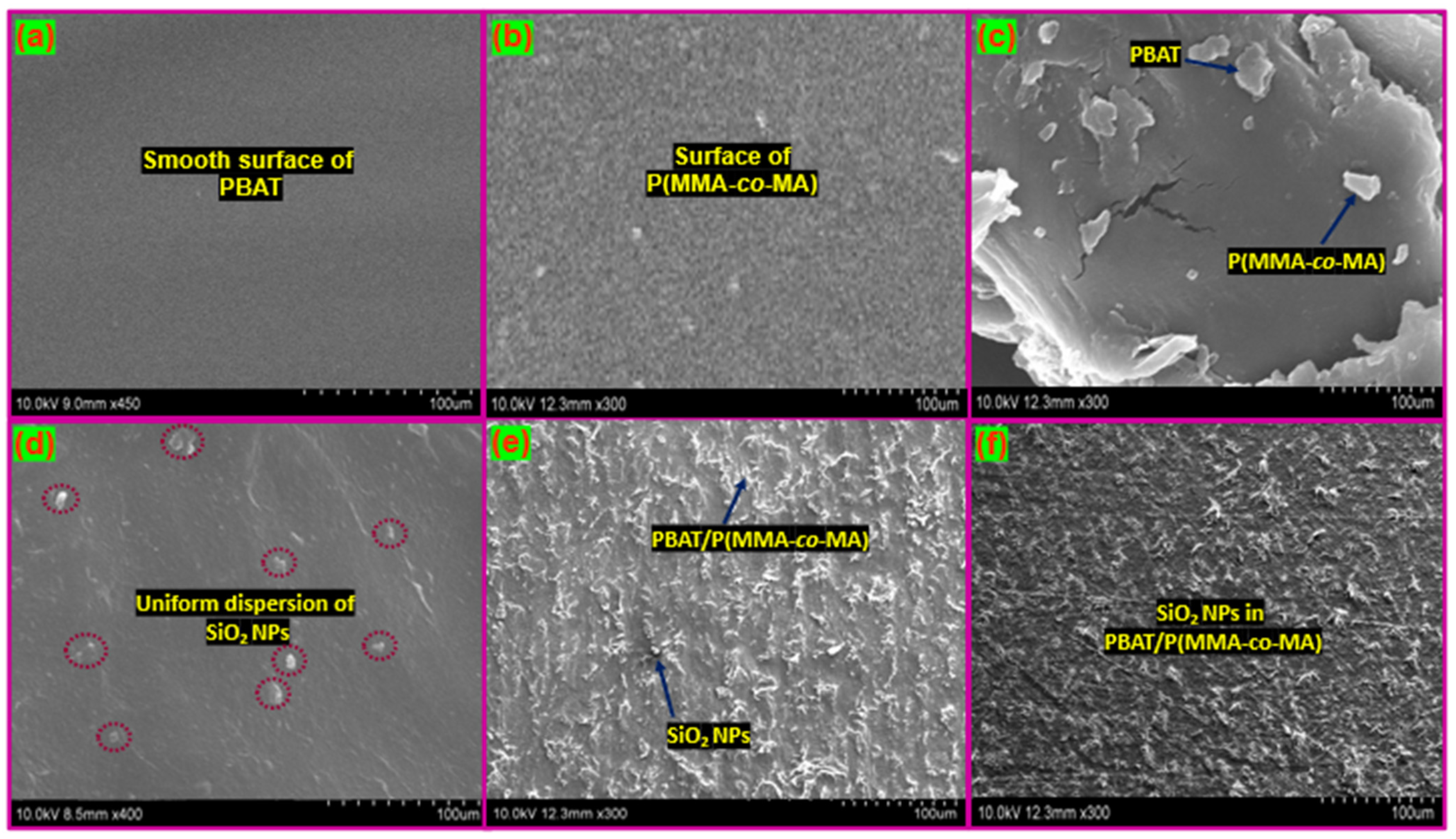 Polymers 15 00101 g006 Polymers 15 00101 g006