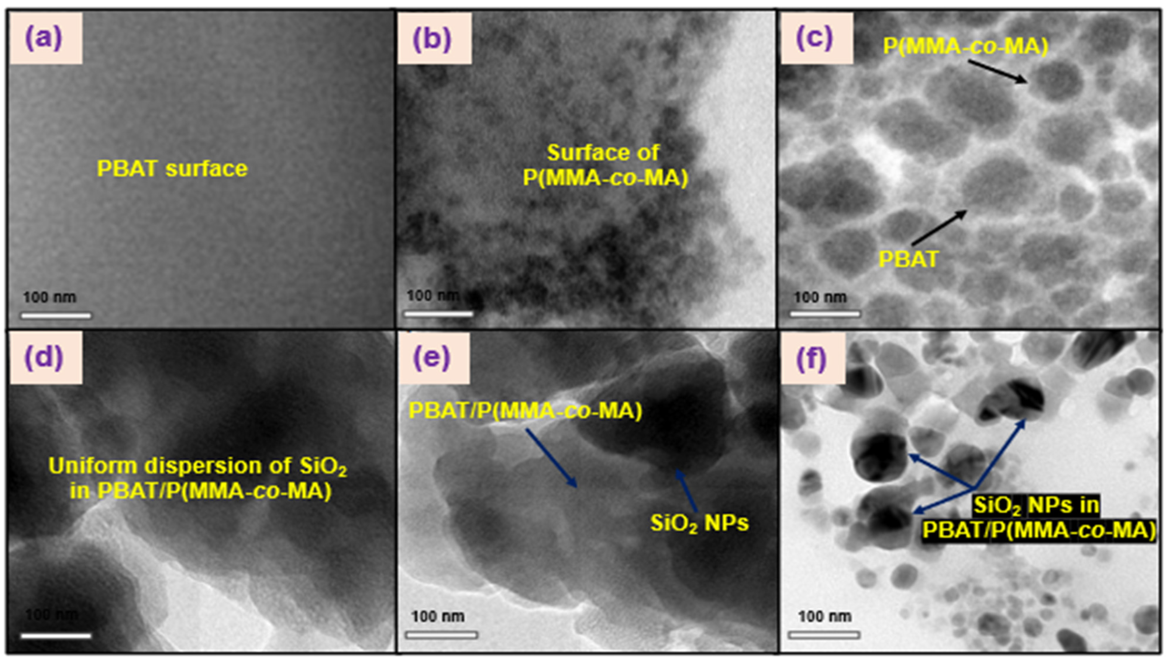 Polymers 15 00101 g007 Polymers 15 00101 g007