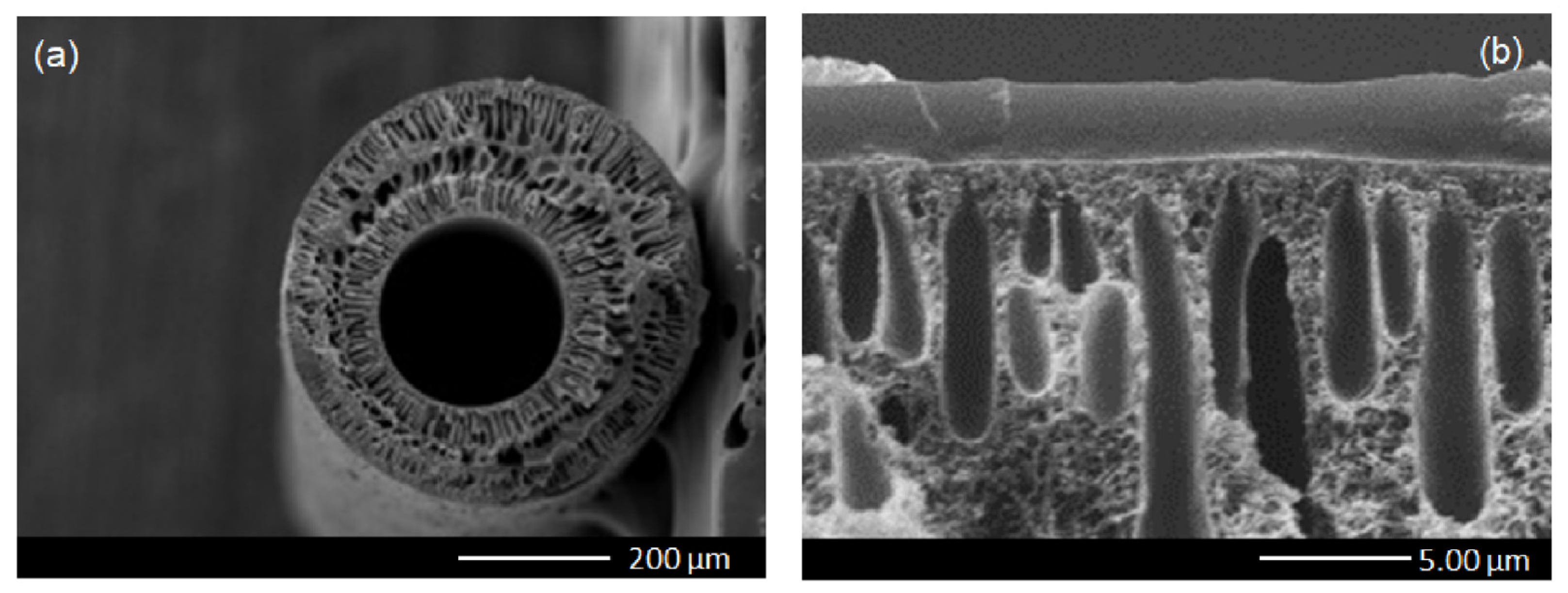Polymers 15 00102 g003 Polymers 15 00102 g003