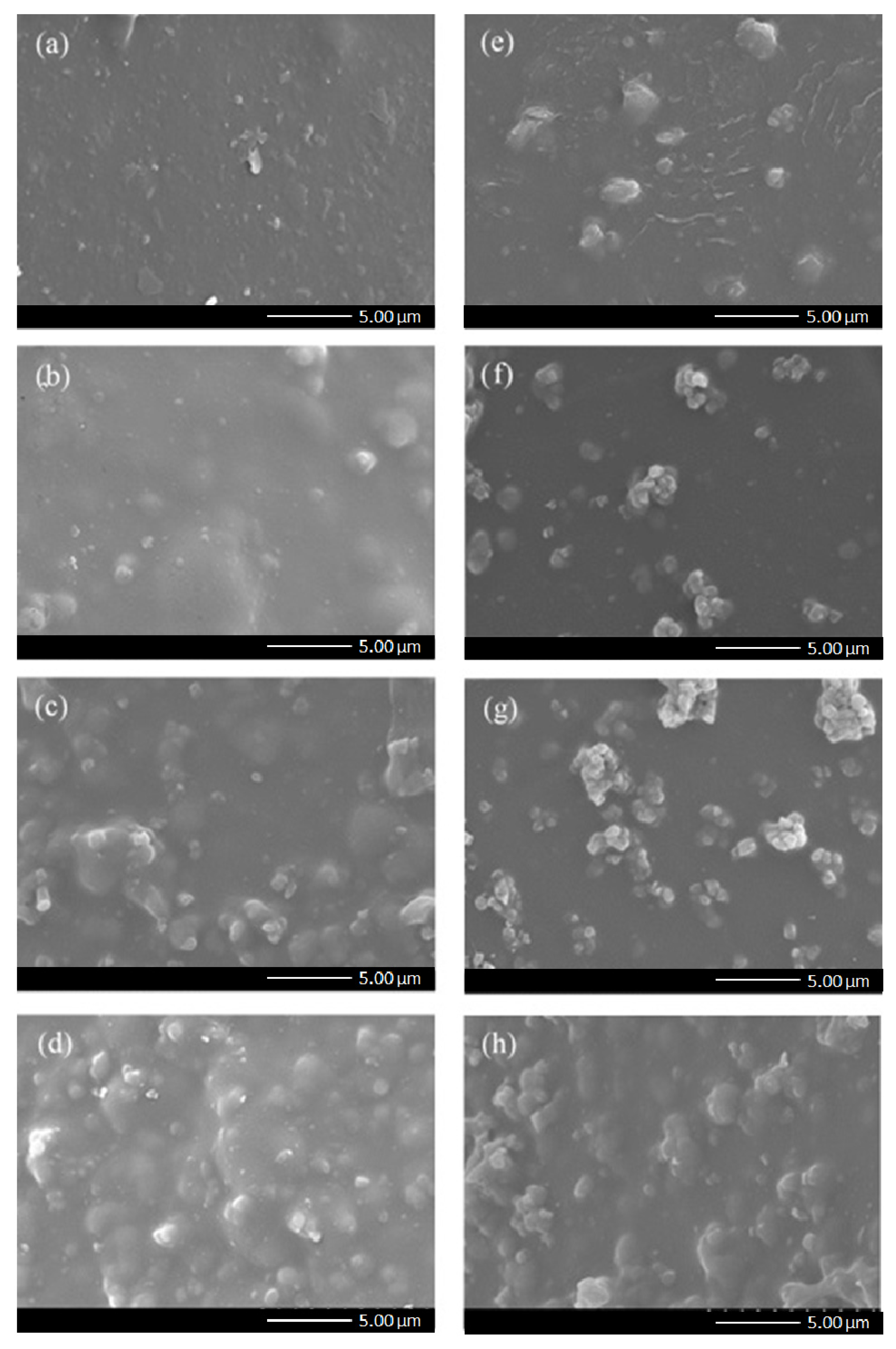 Polymers 15 00102 g005 Polymers 15 00102 g005