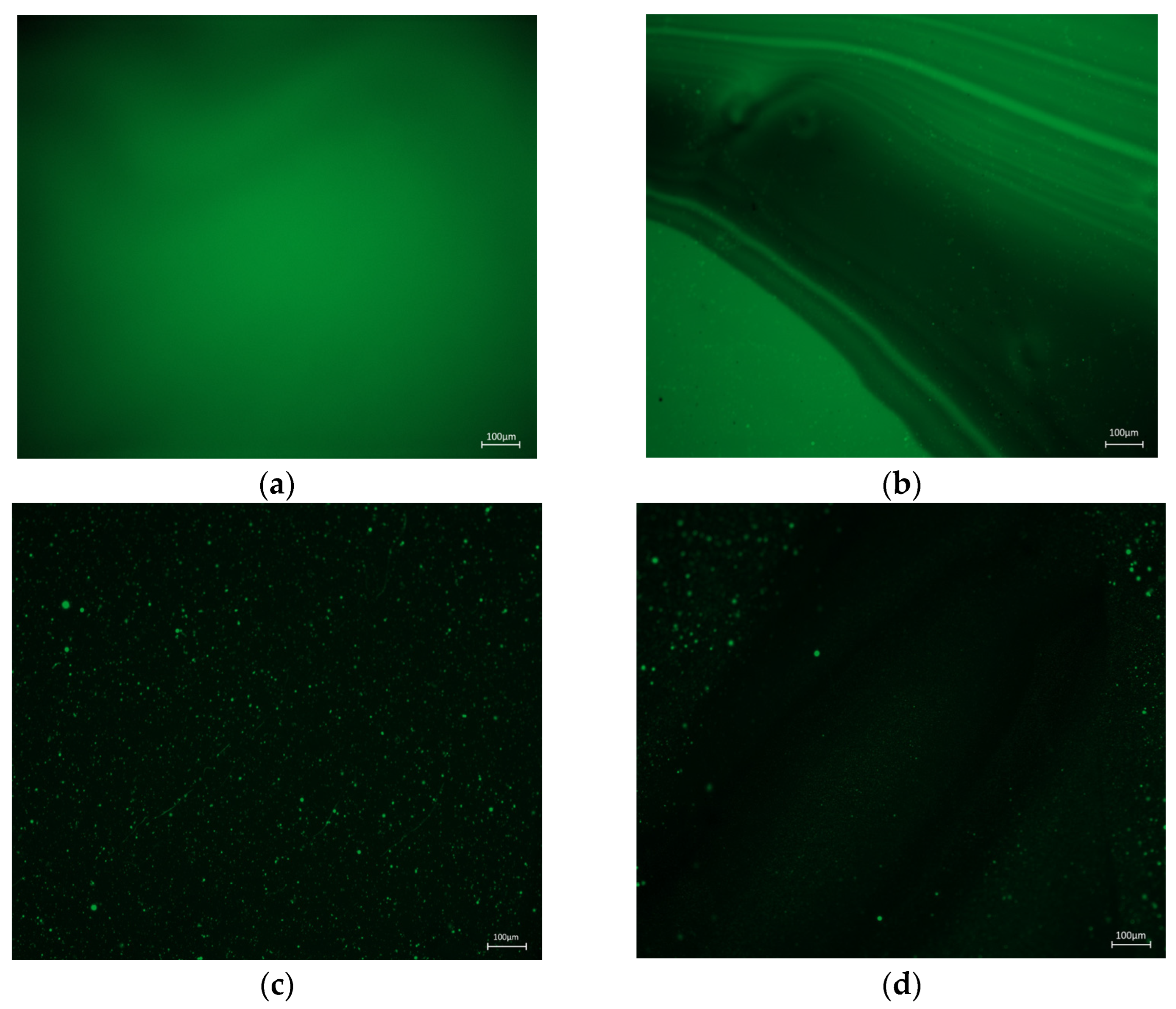 Polymers 15 00104 g018a