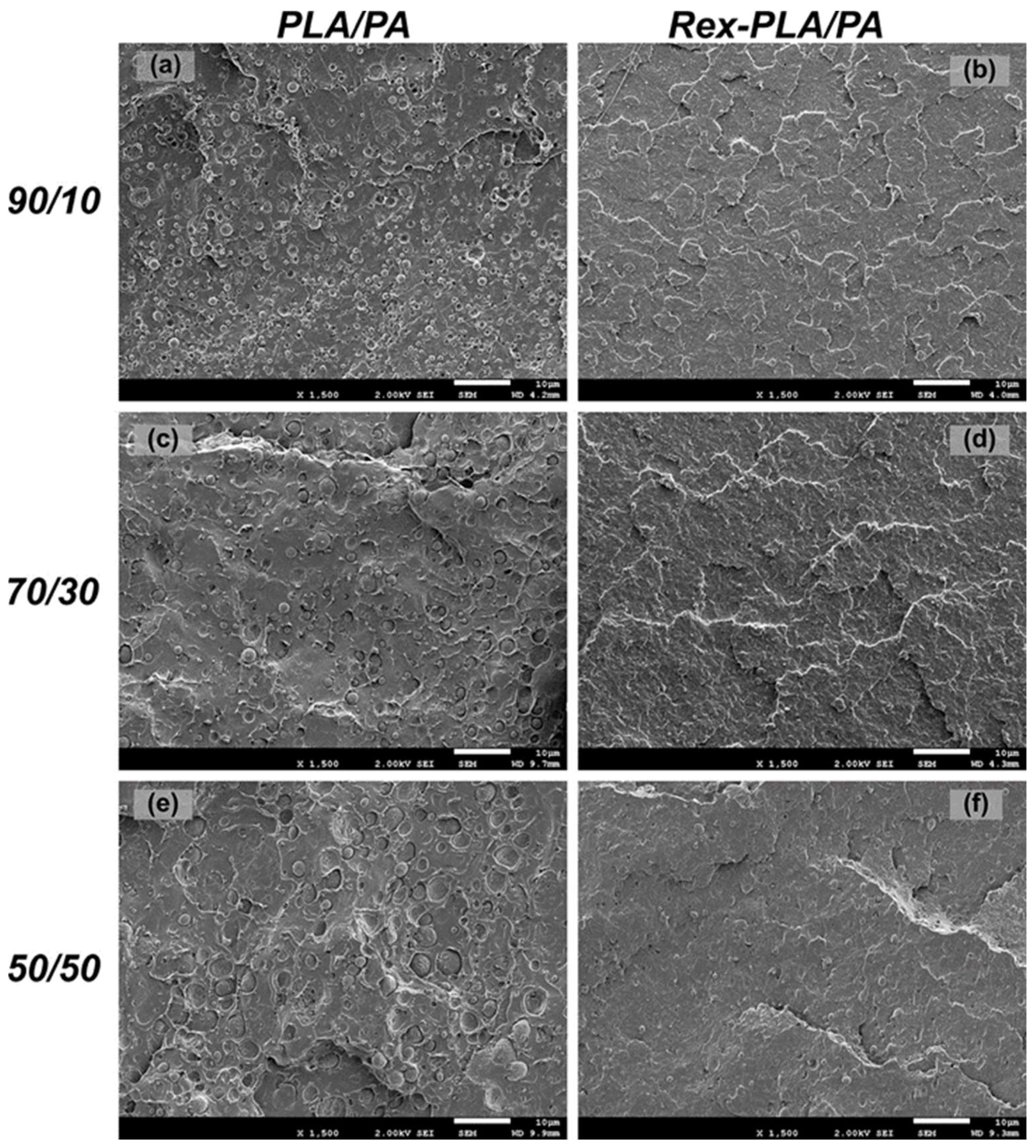 Polymers 15 00105 g008