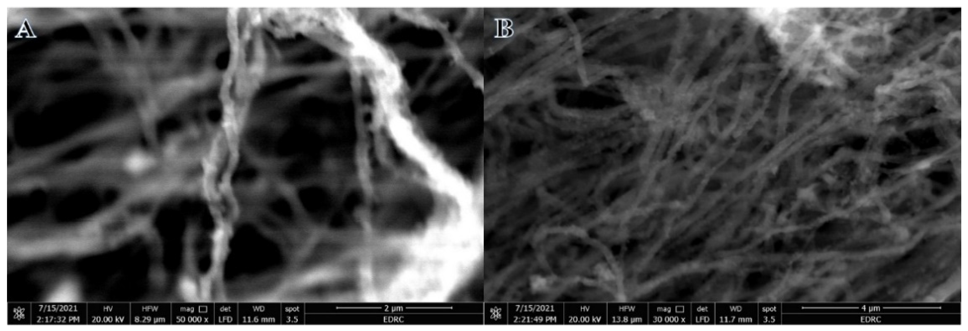 Polymers 15 00109 g009
