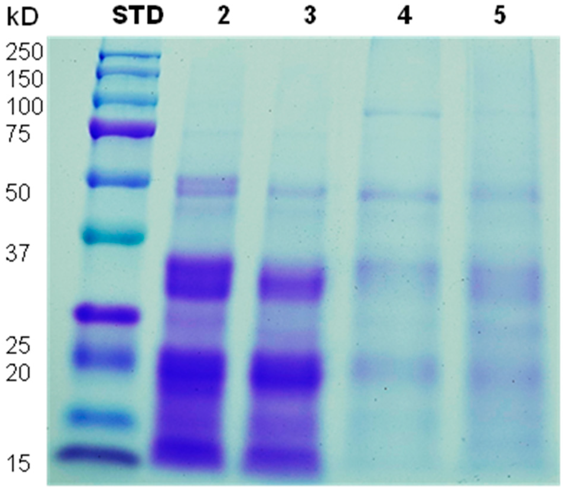 Polymers 15 00110 g003
