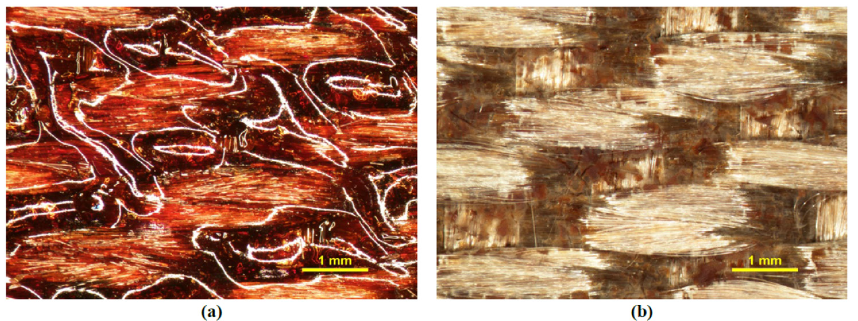 Polymers 15 00112 g010 Polymers 15 00112 g010