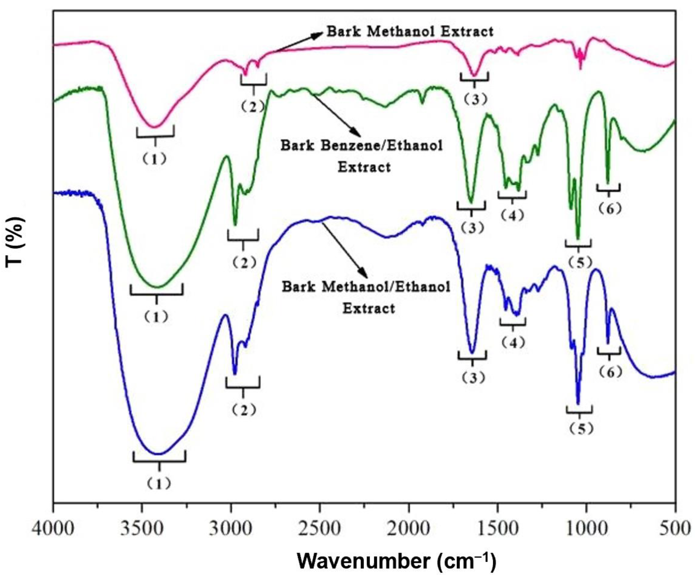 Polymers 15 00114 g005 Polymers 15 00114 g005