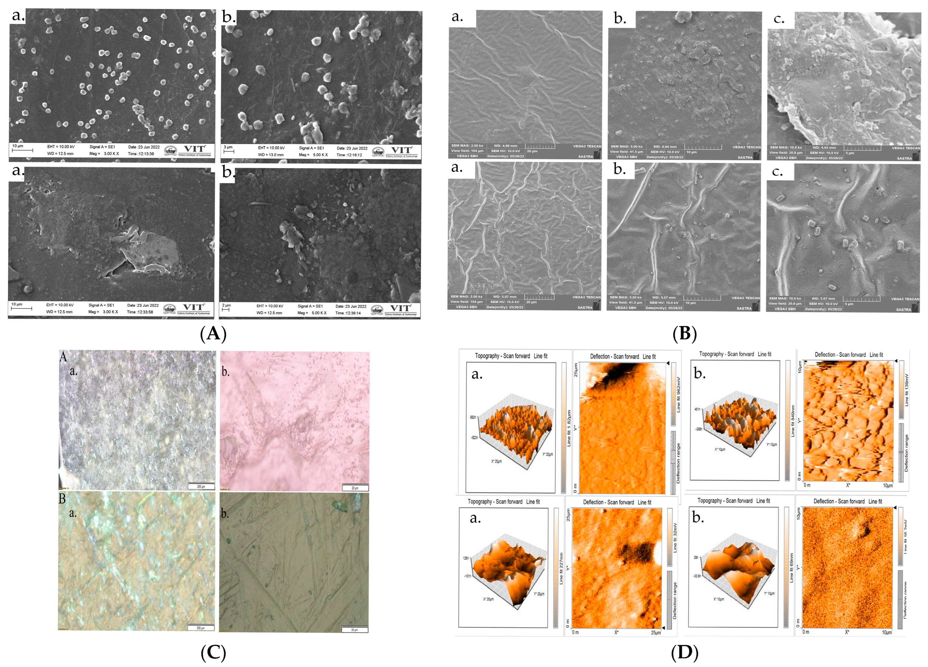 Polymers 15 00115 g001
