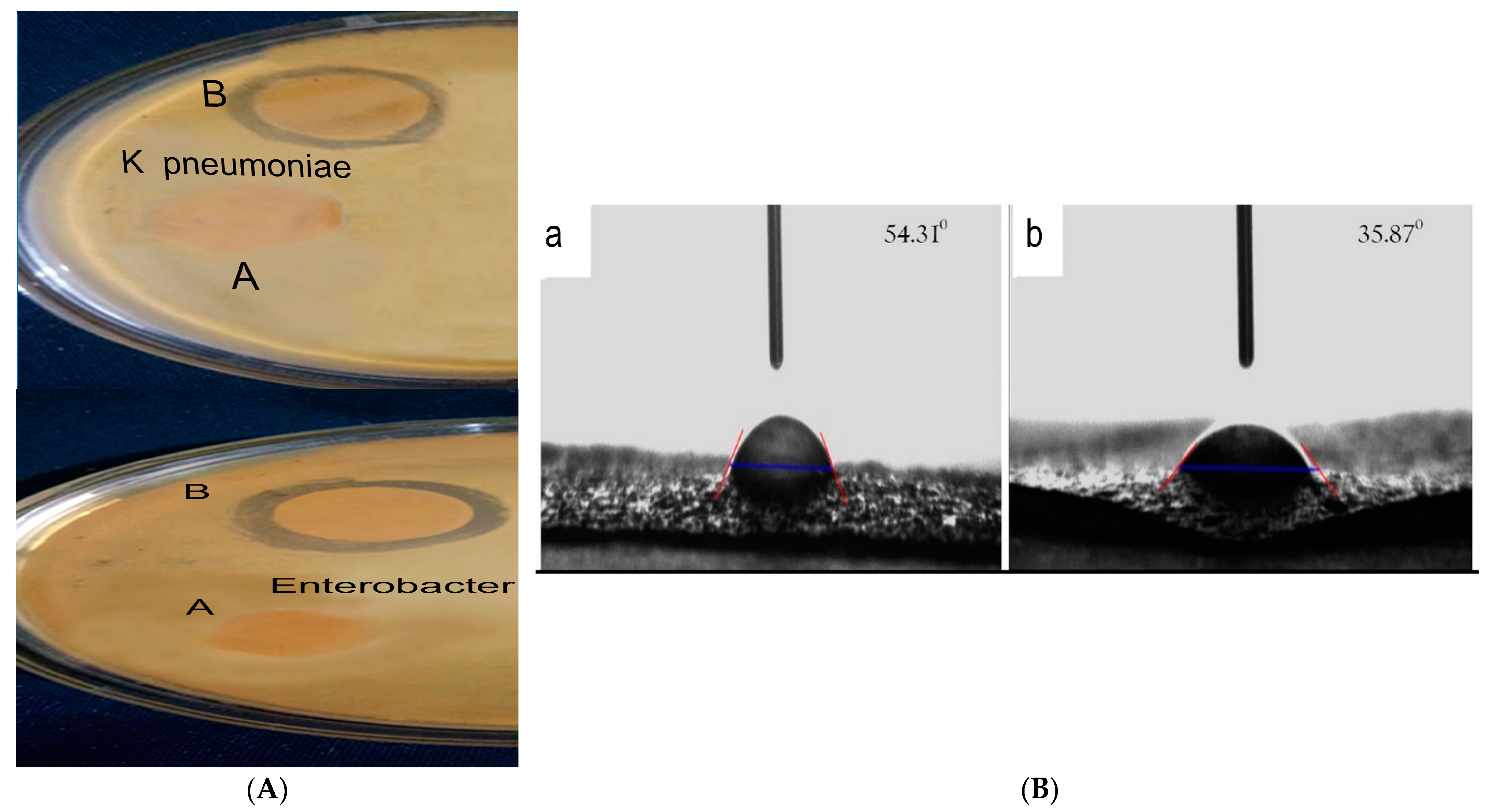 Polymers 15 00115 g003