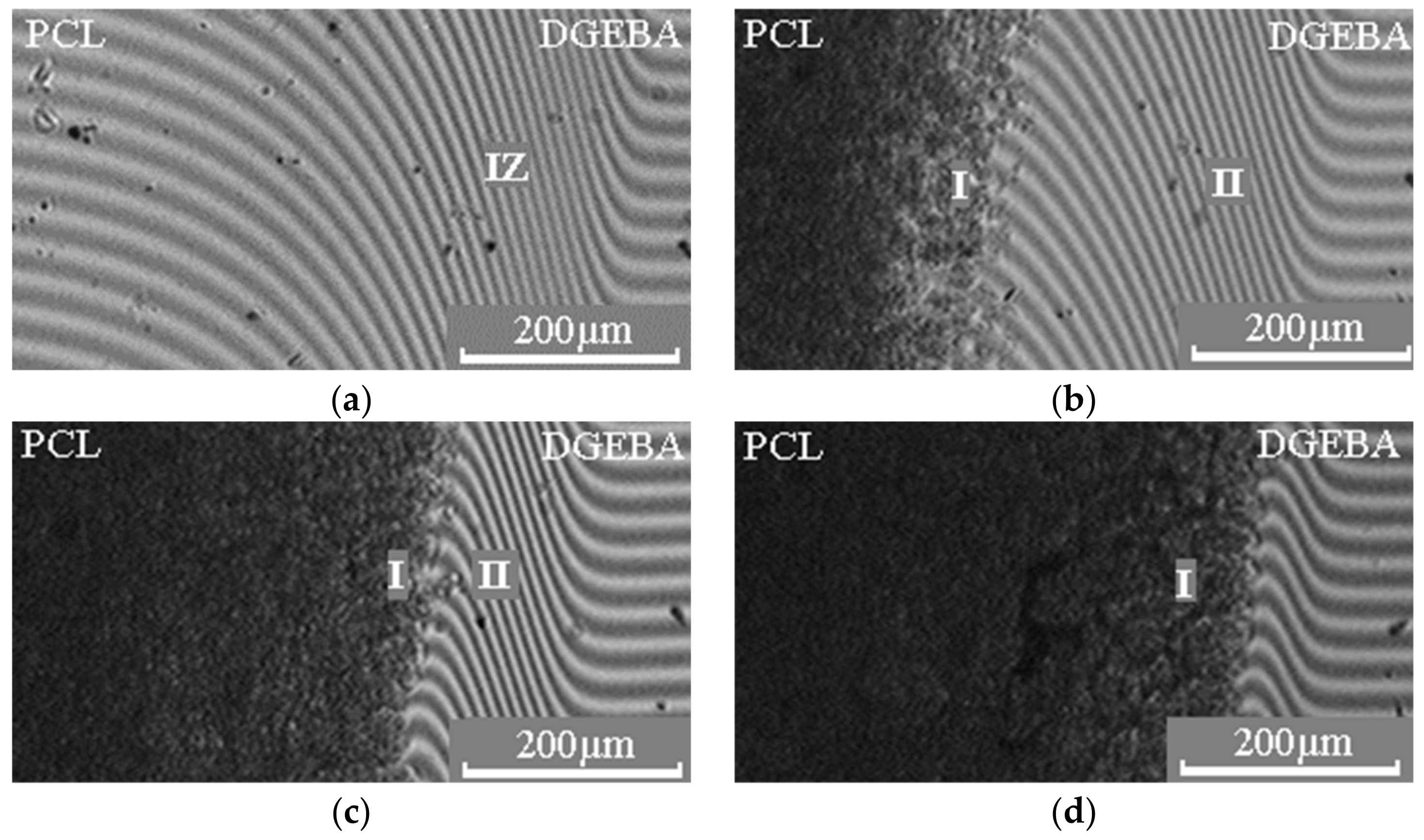 Polymers 15 00117 g004 Polymers 15 00117 g004