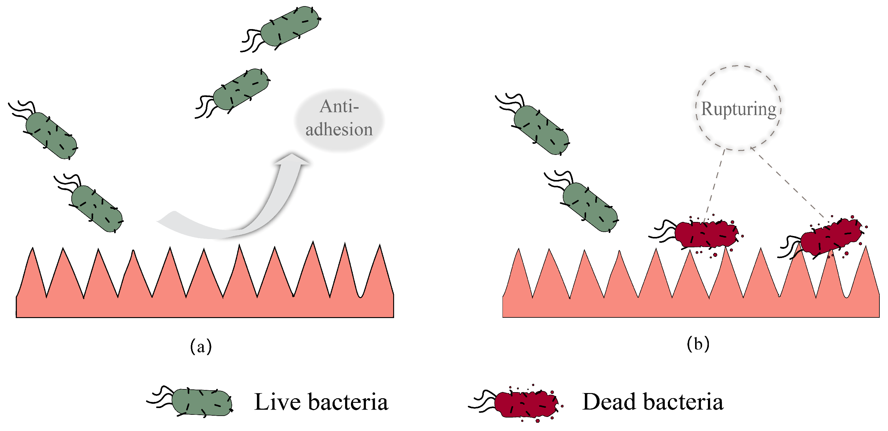 Polymers 15 00120 g001 Polymers 15 00120 g001