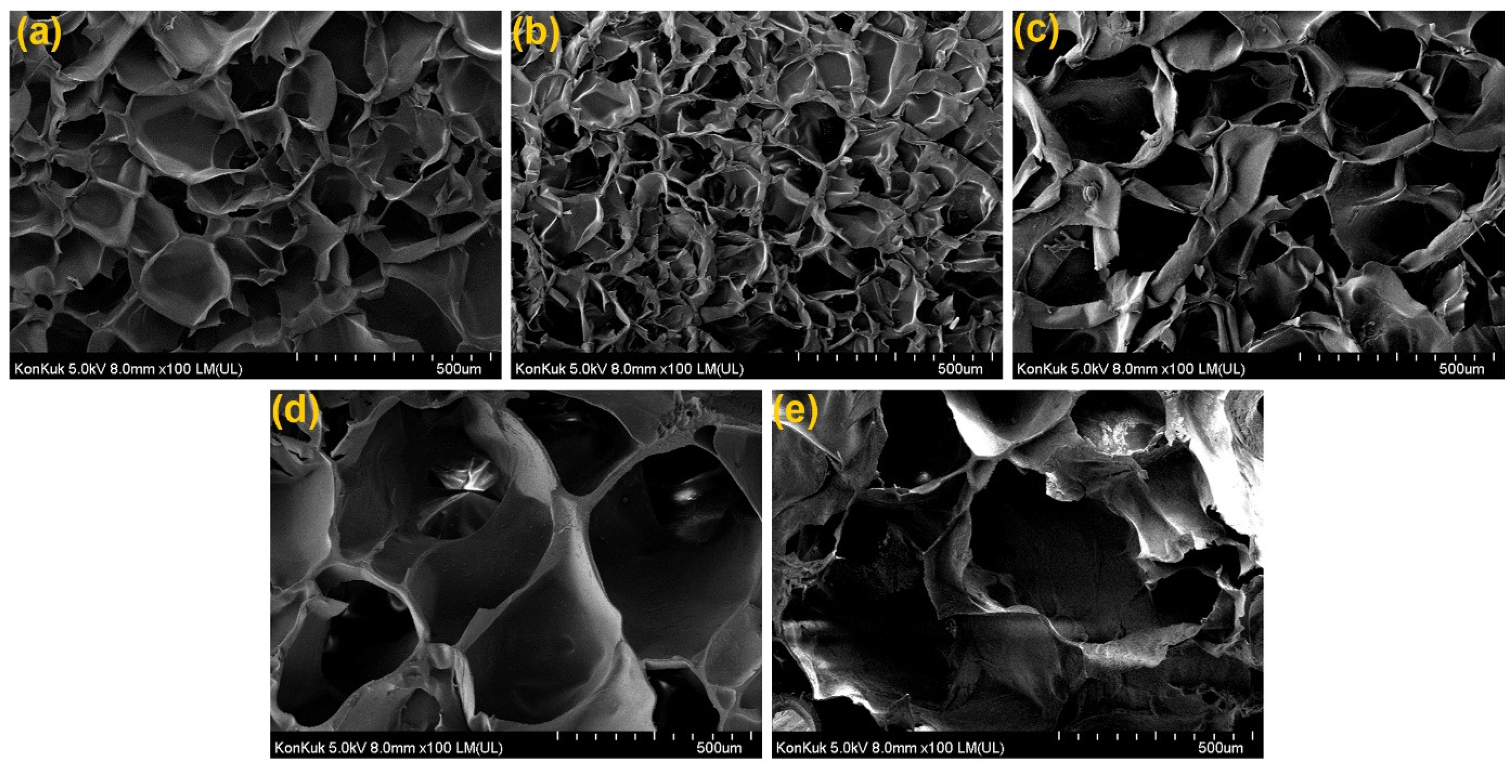Polymers 15 00122 g004 Polymers 15 00122 g004