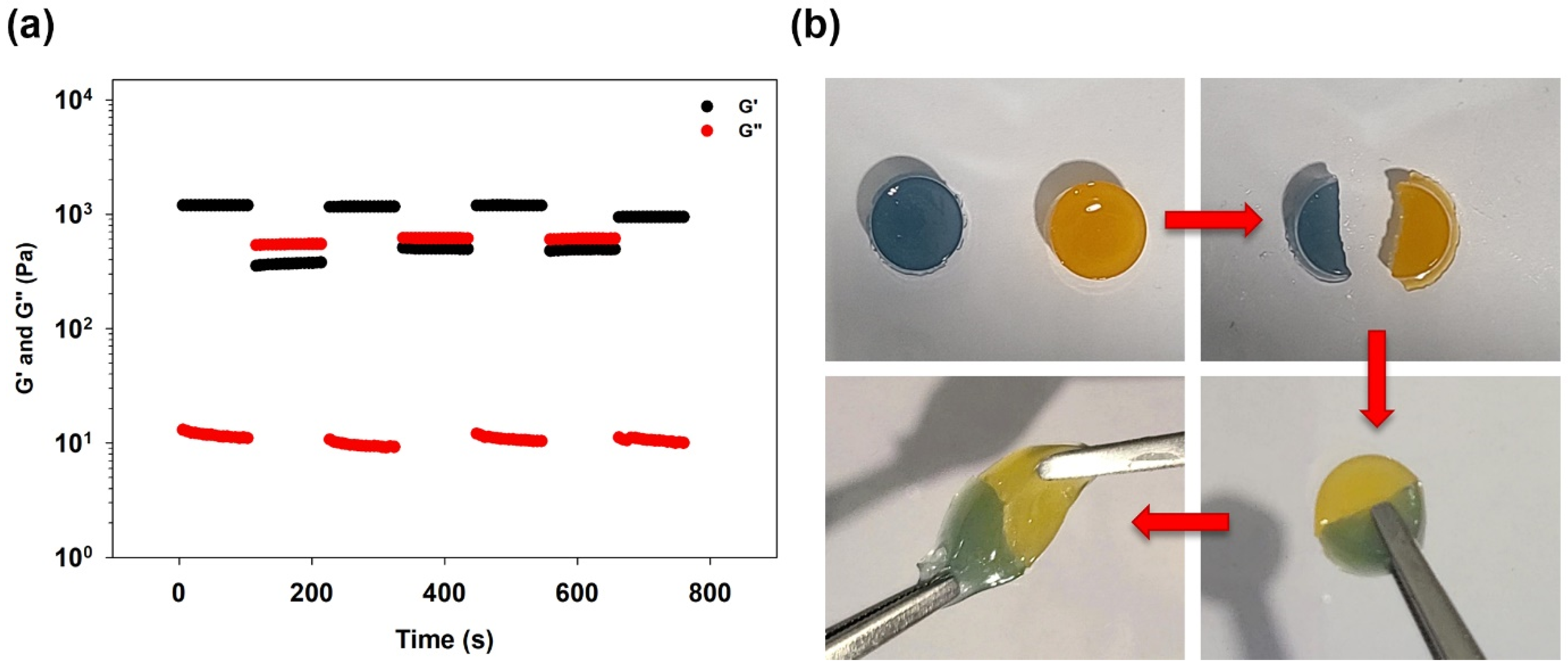 Polymers 15 00122 g006 Polymers 15 00122 g006