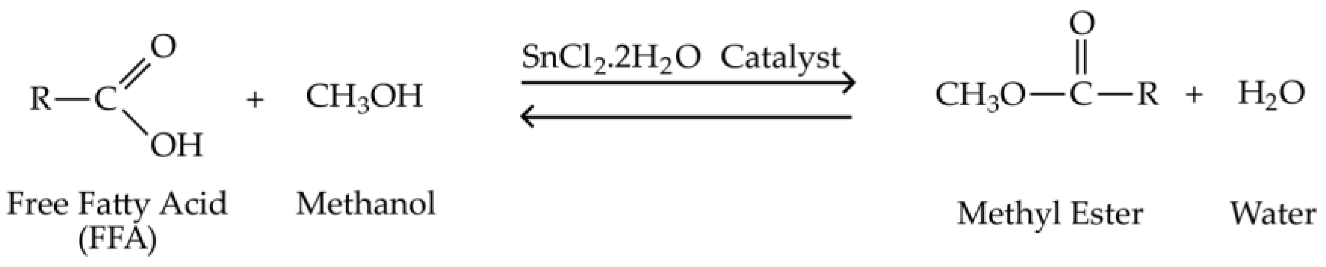 Polymers Free FullText Conversion of Free Fatty Acid in