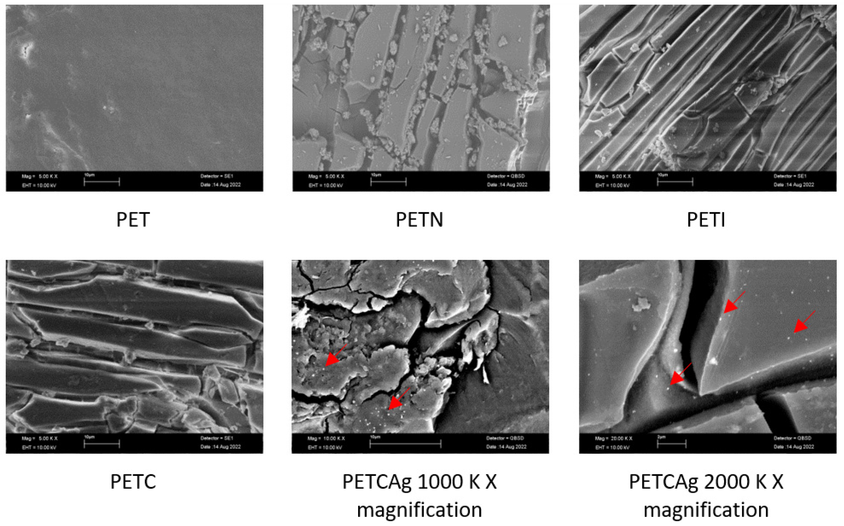 Polymers 15 00125 g008