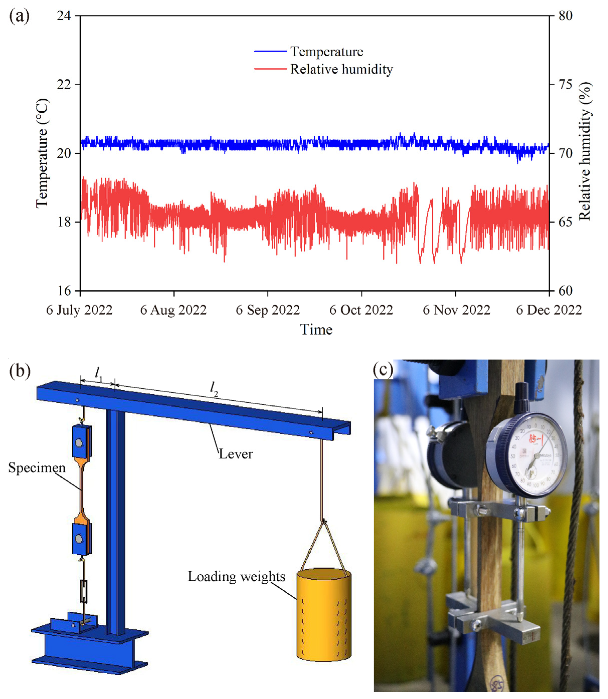 Polymers 15 00128 g004