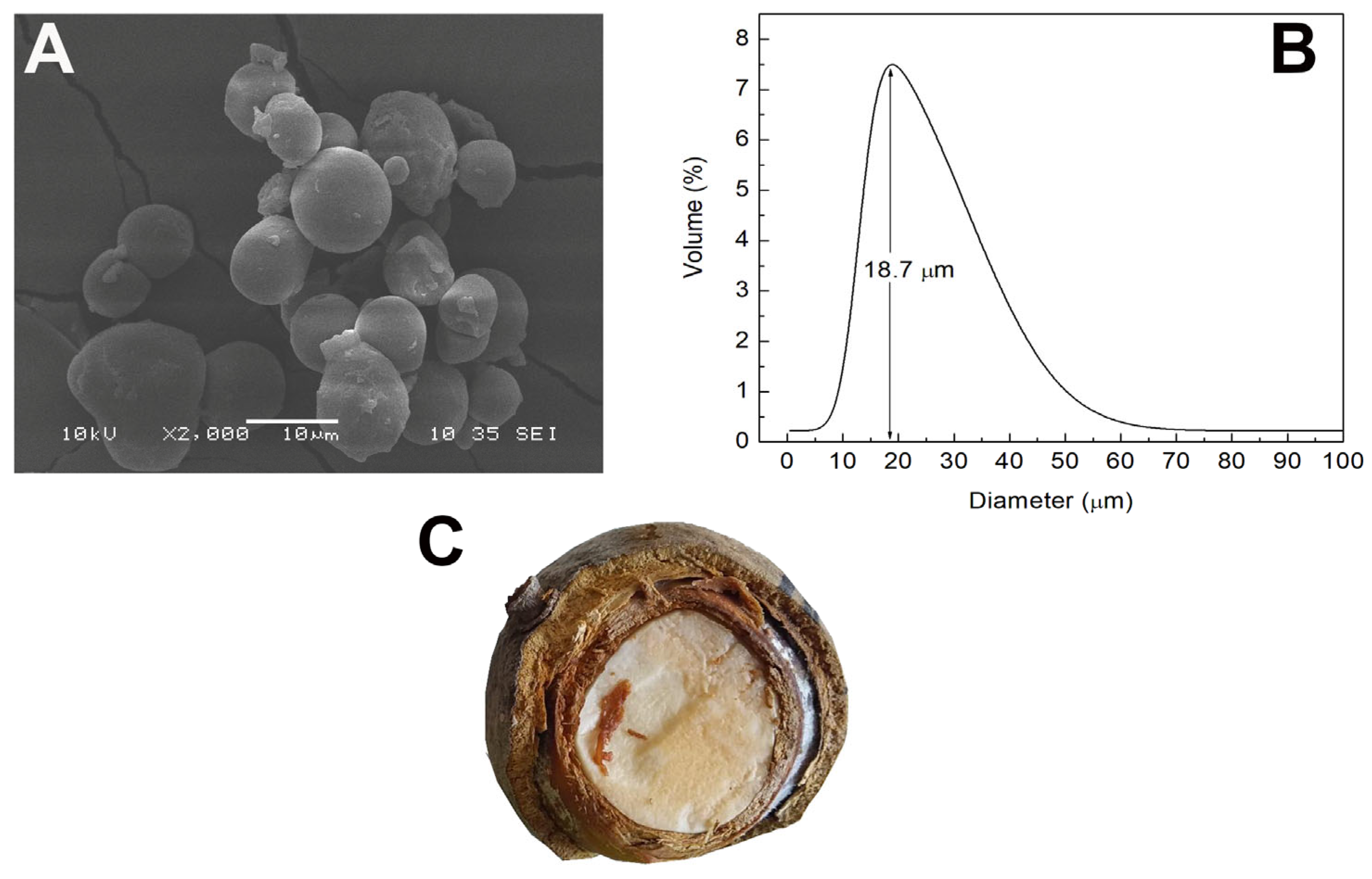 Polymers 15 00130 g002 Polymers 15 00130 g002