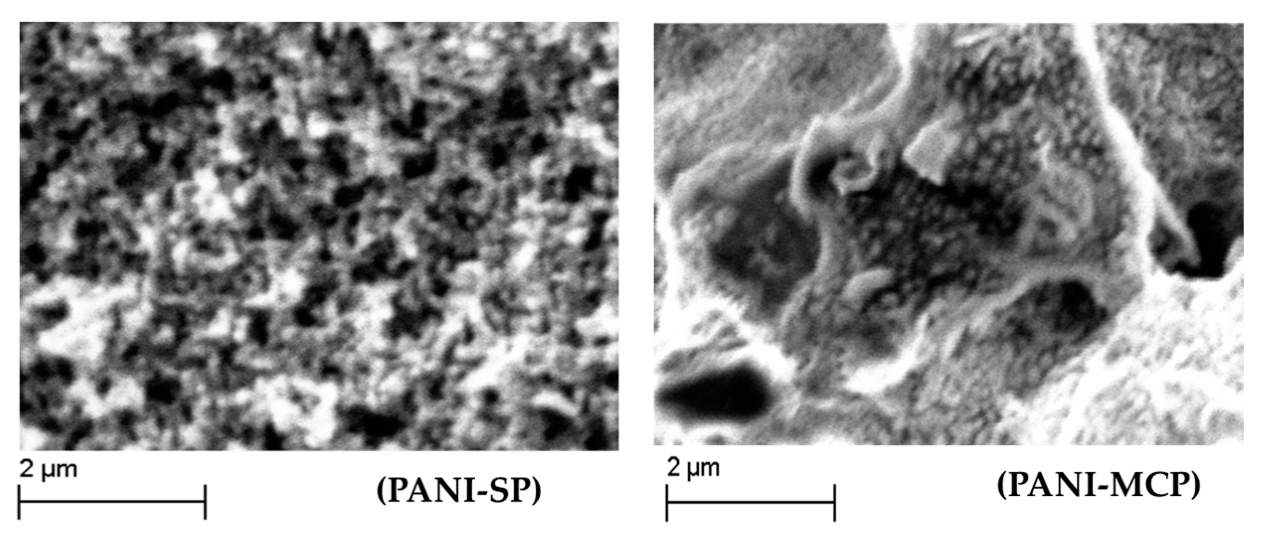 Polymers 15 00133 g005