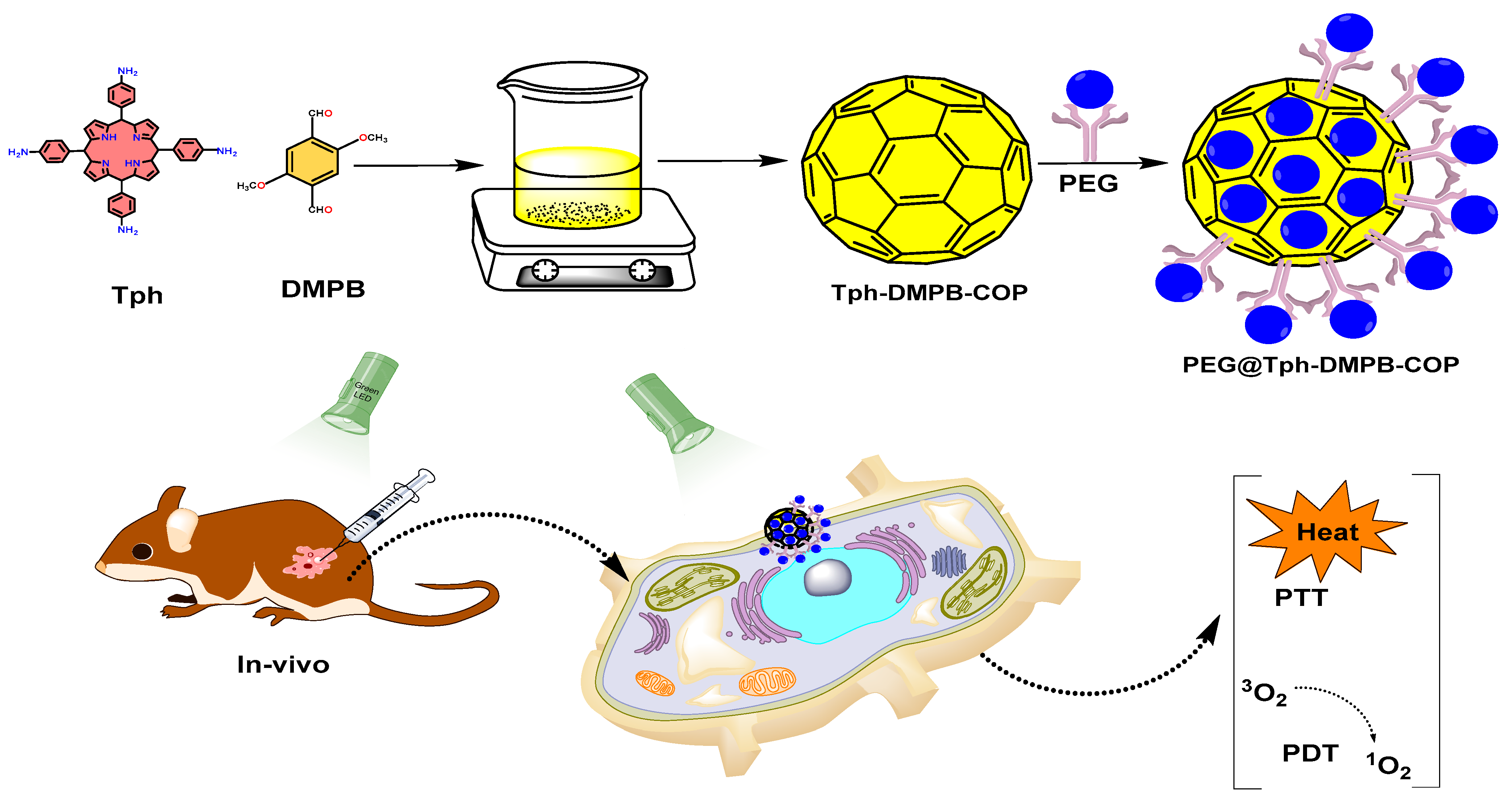 Polymers 15 00139 g010