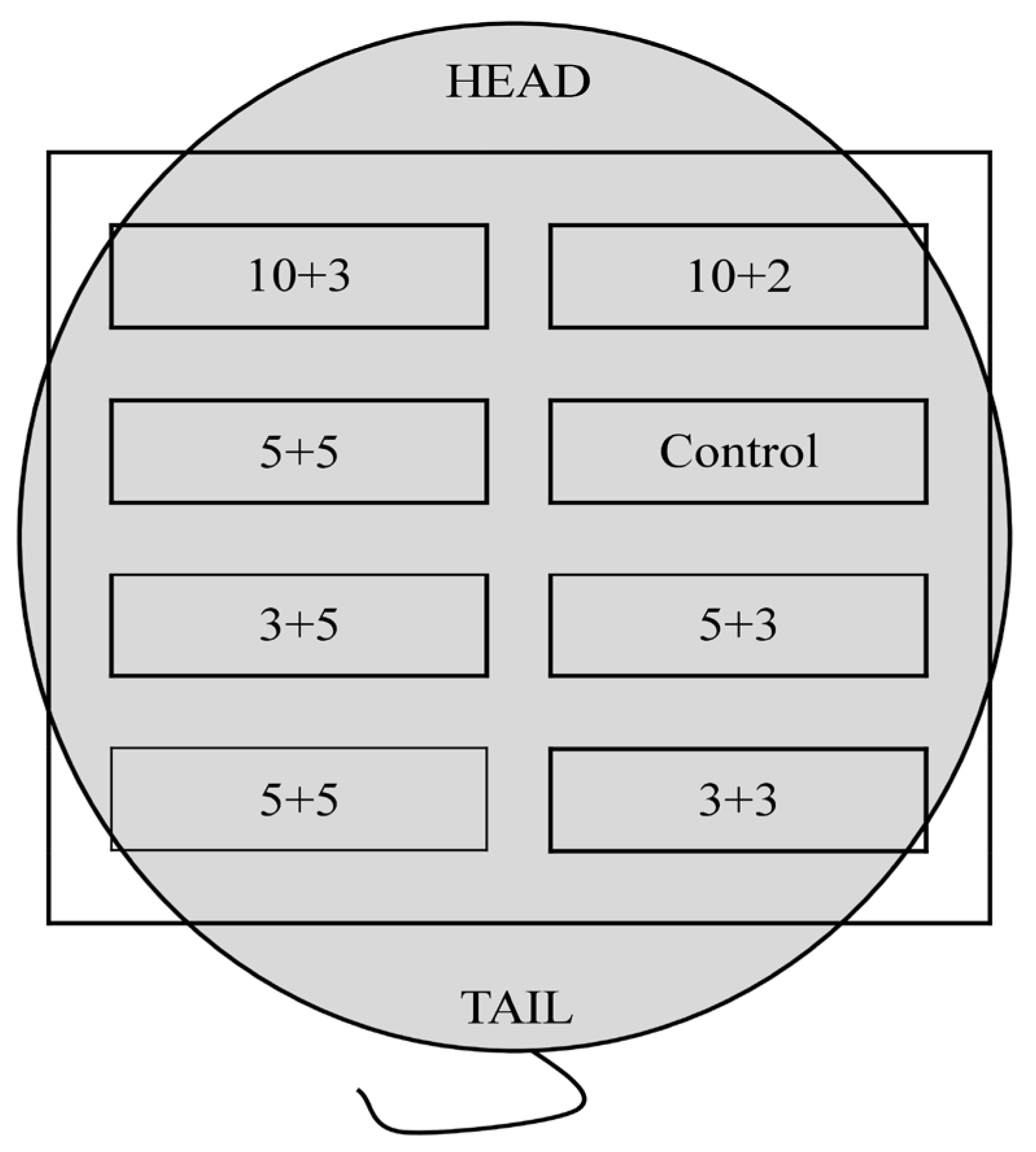 Polymers 15 00144 g002 Polymers 15 00144 g002