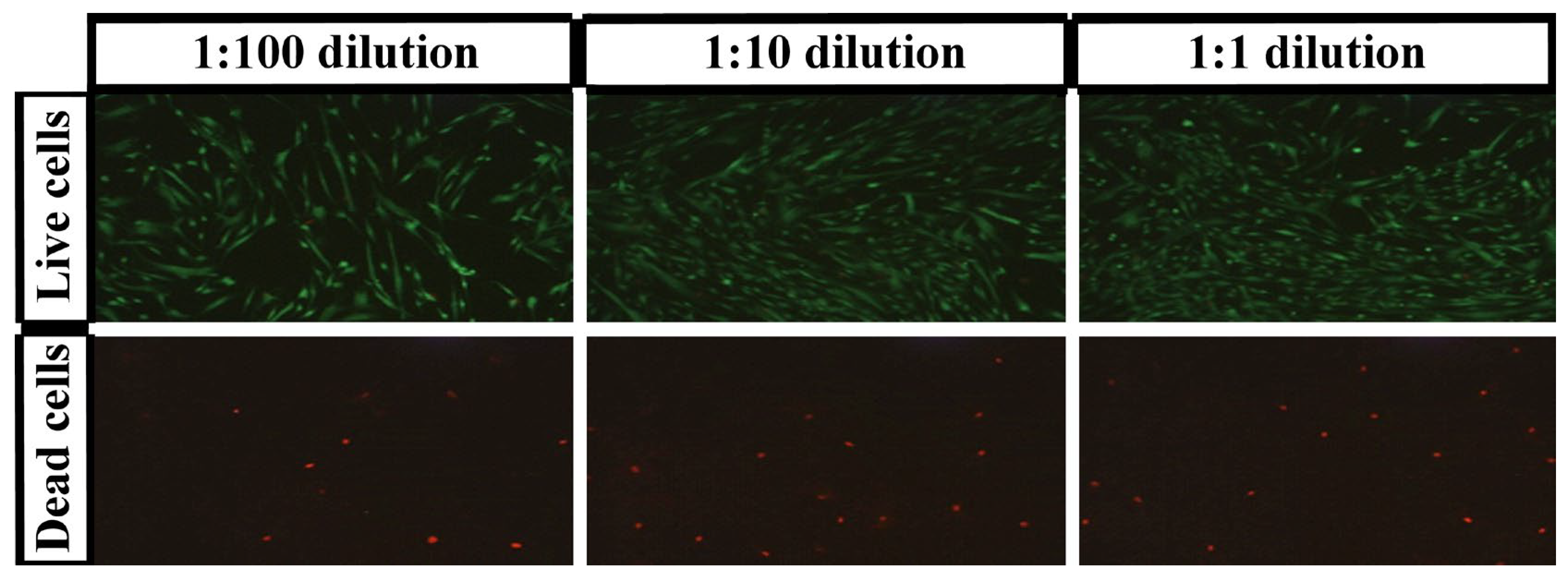 Polymers 15 00144 g006 Polymers 15 00144 g006