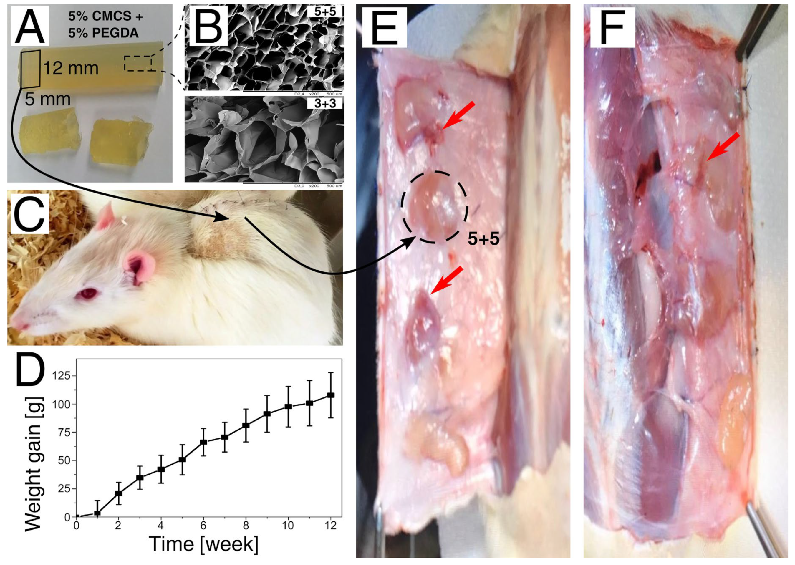 Polymers 15 00144 g007 Polymers 15 00144 g007