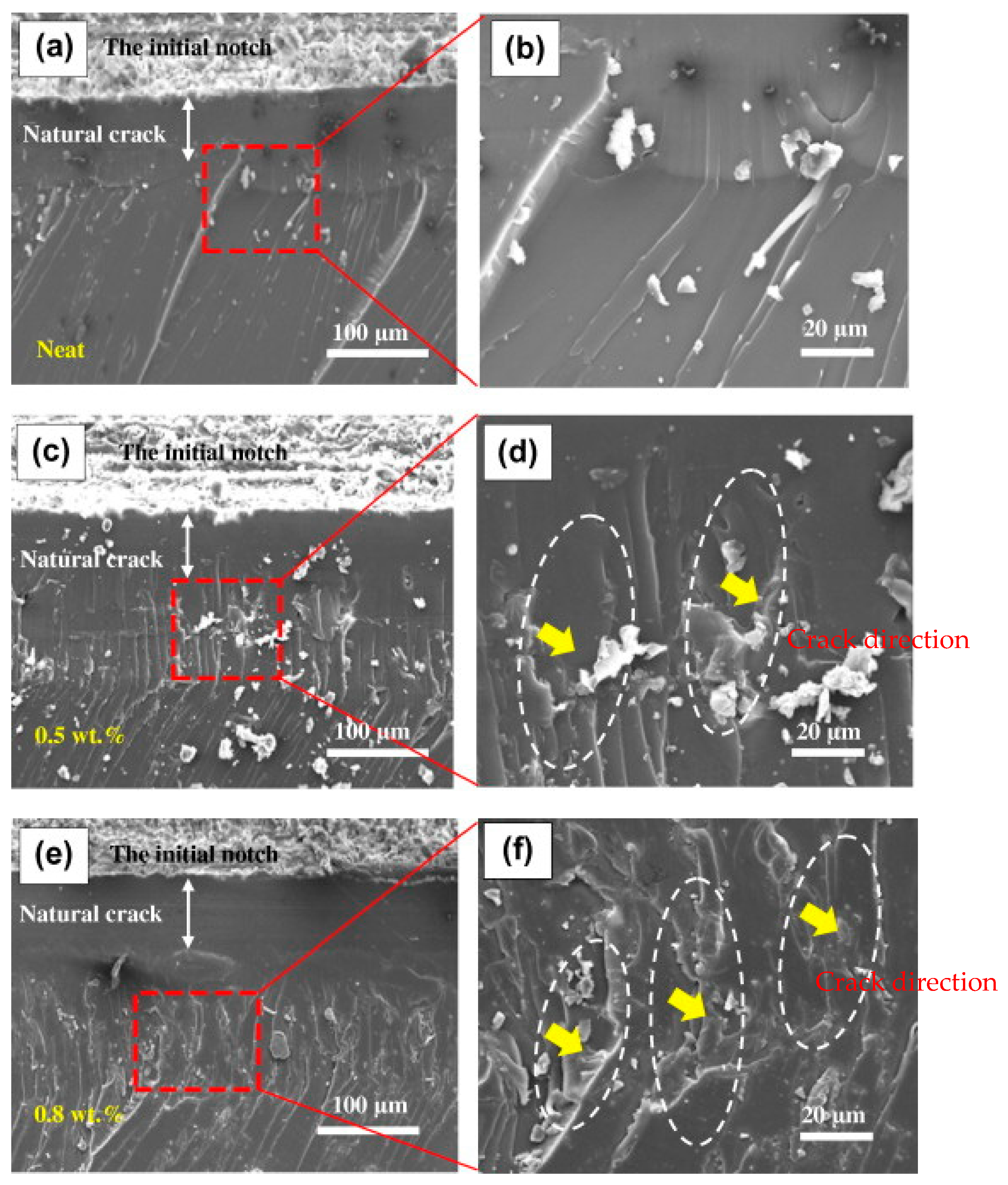 Polymers 15 00145 g009 Polymers 15 00145 g009
