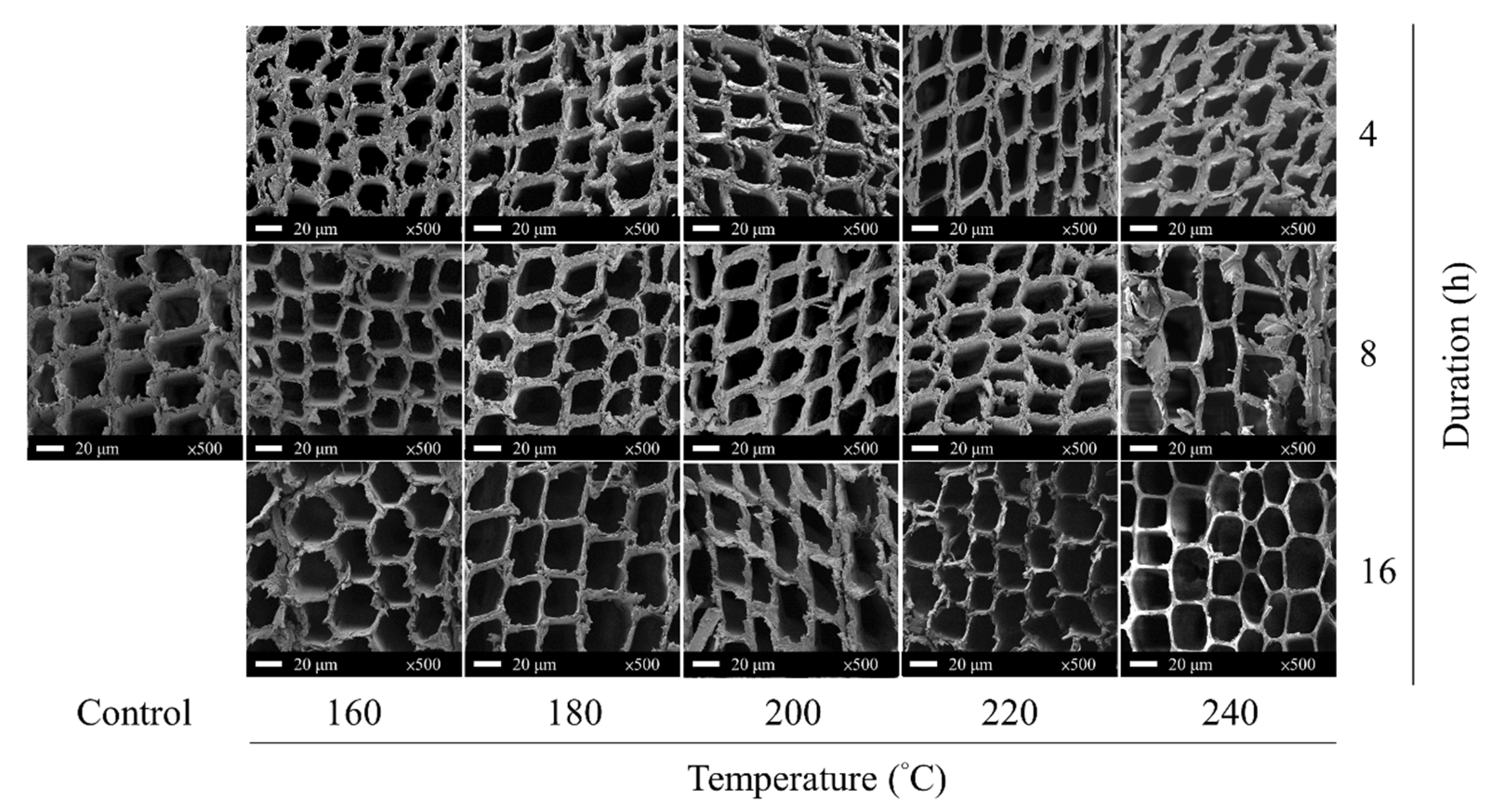Polymers 15 00147 g001 Polymers 15 00147 g001