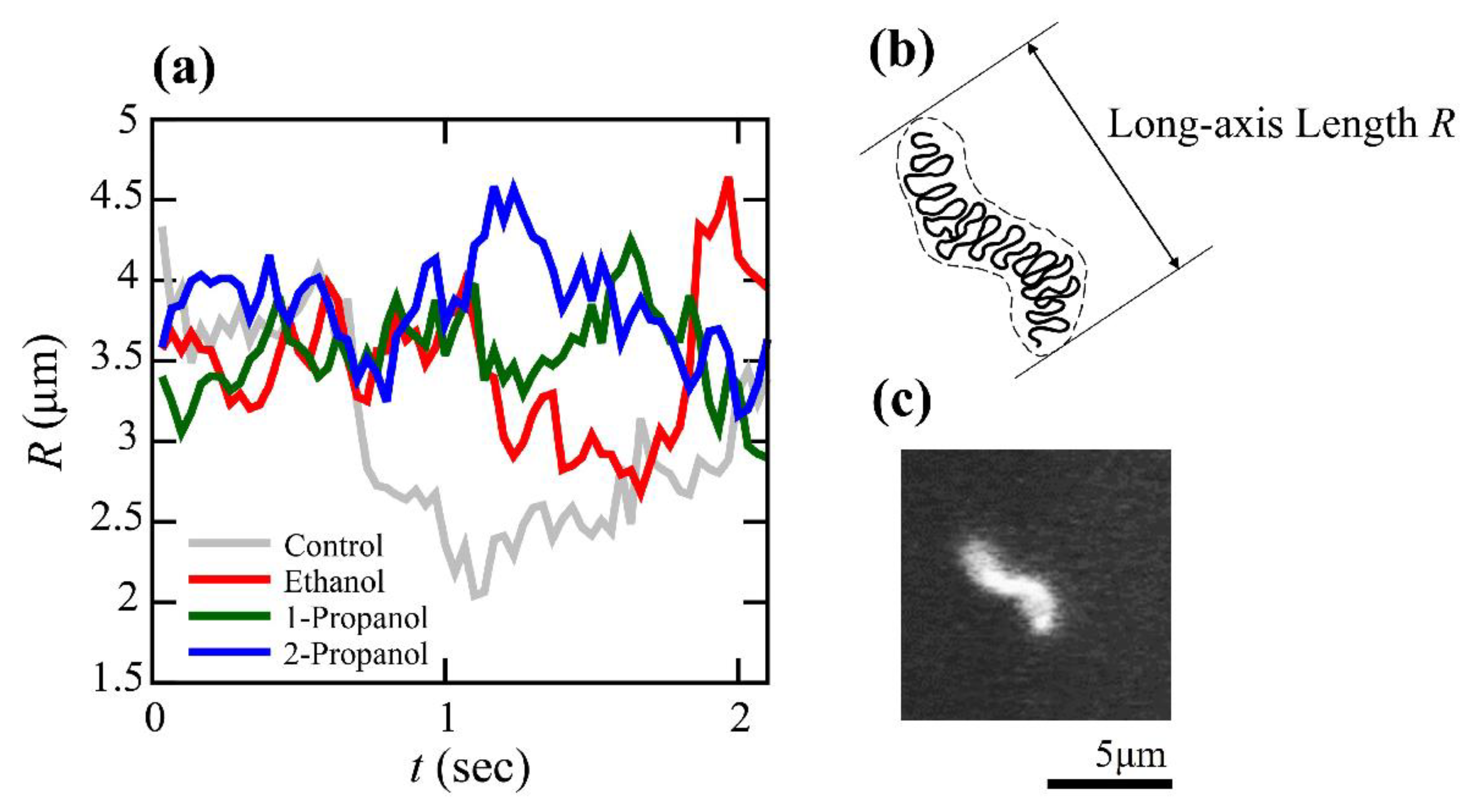 Polymers 15 00149 g003 Polymers 15 00149 g003
