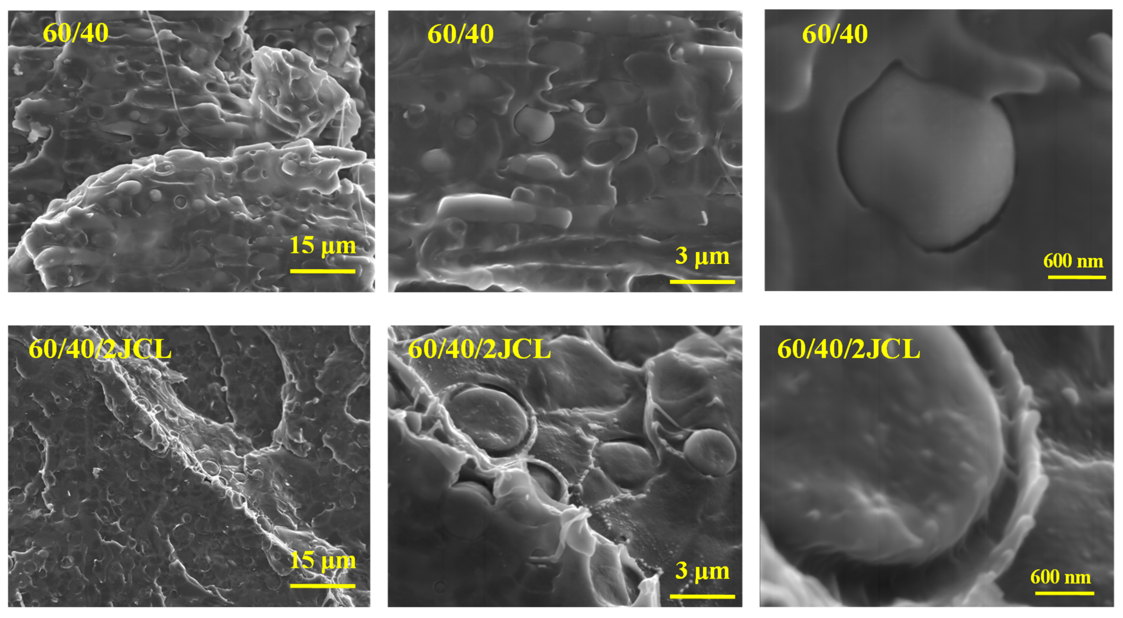 Polymers 15 00153 g002 Polymers 15 00153 g002
