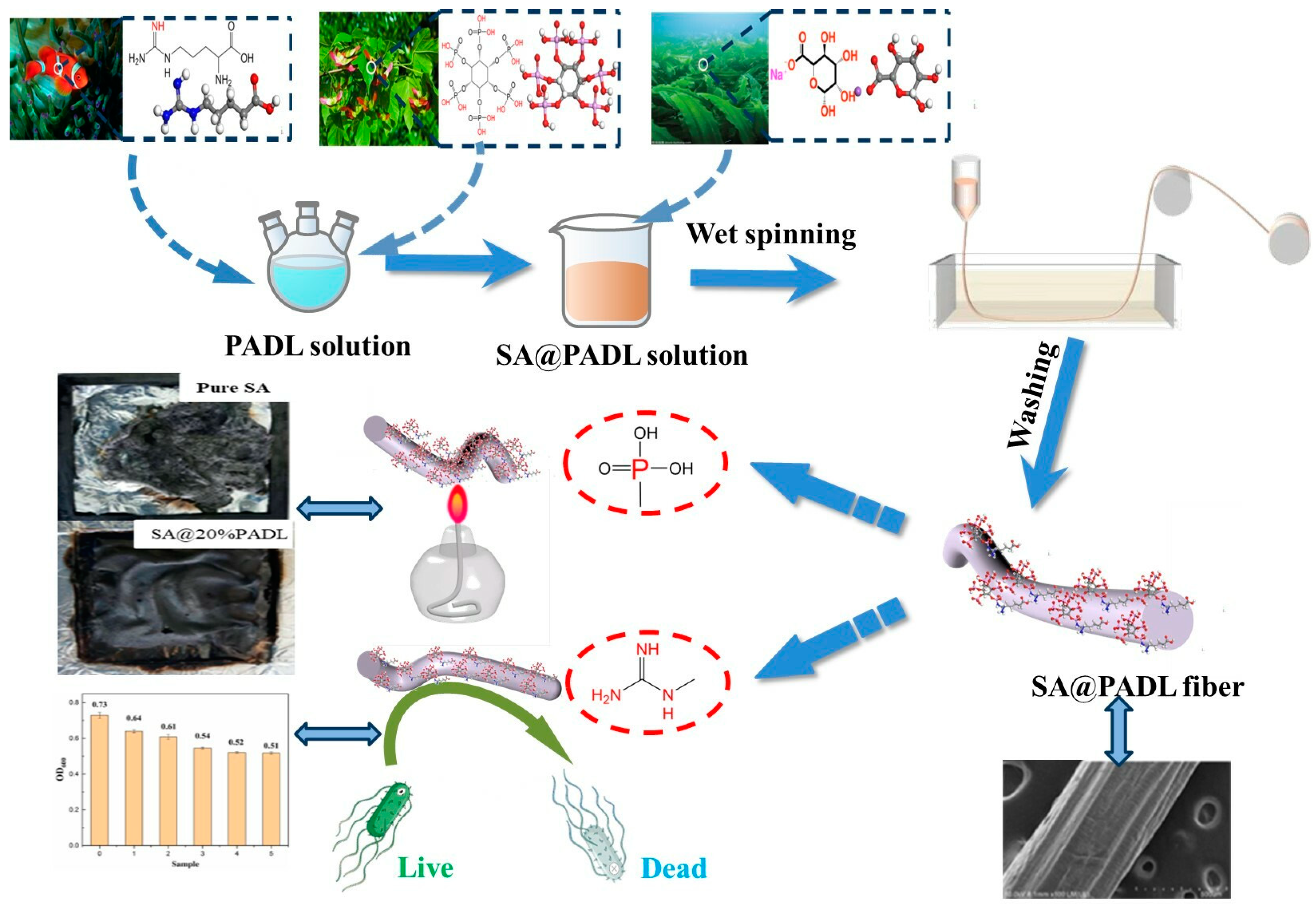 Polymers 15 00154 g001 Polymers 15 00154 g001