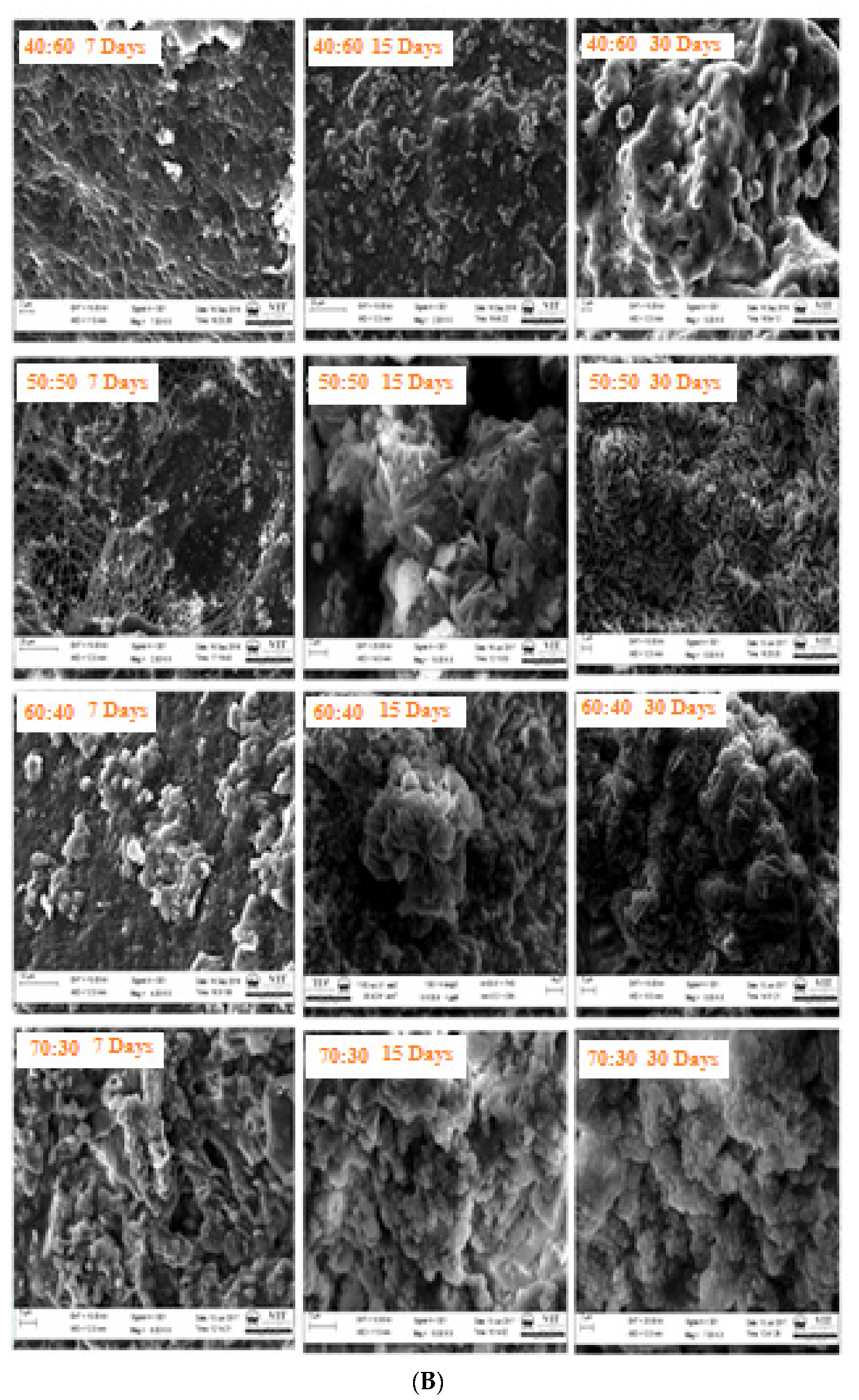 Polymers 15 00155 g005b Polymers 15 00155 g005b