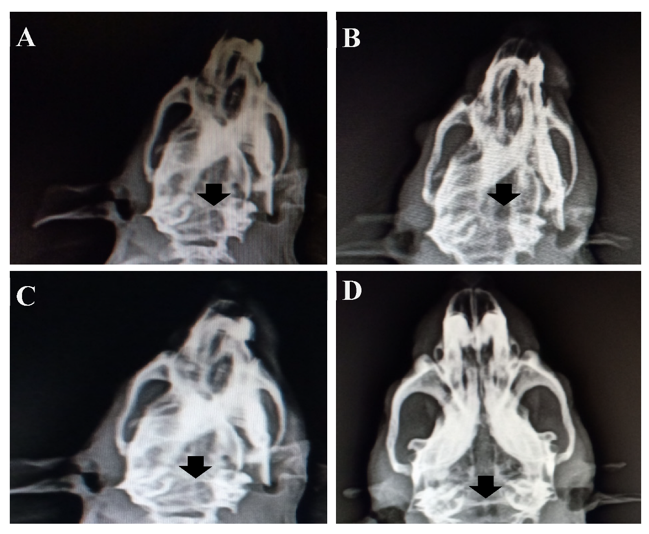 Polymers 15 00155 g009 Polymers 15 00155 g009