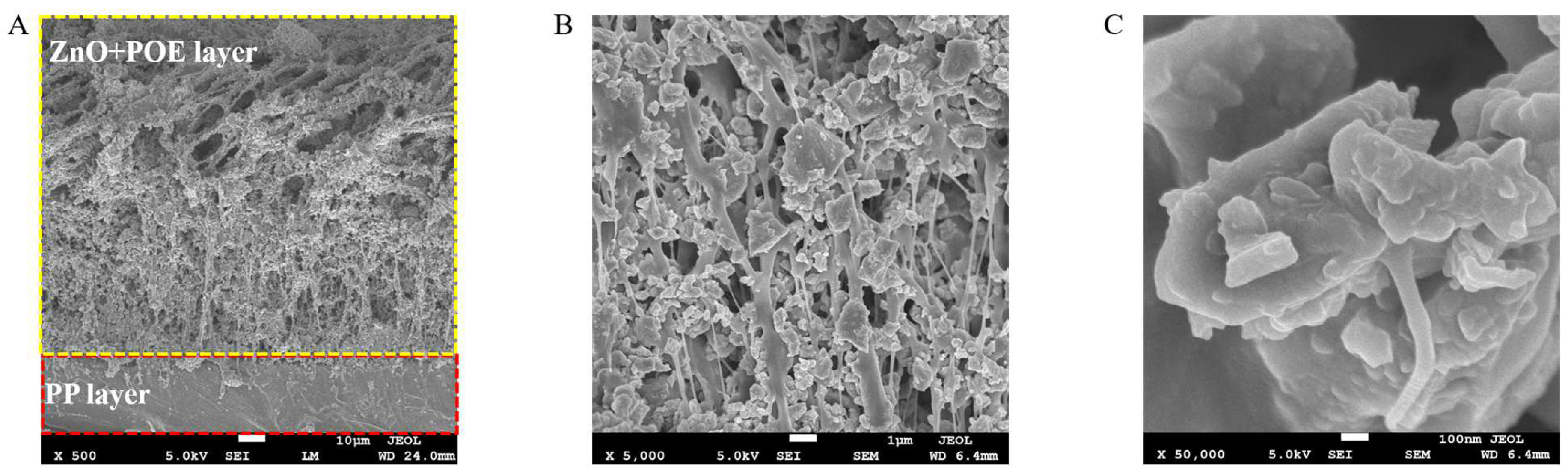 Polymers 15 00159 g004