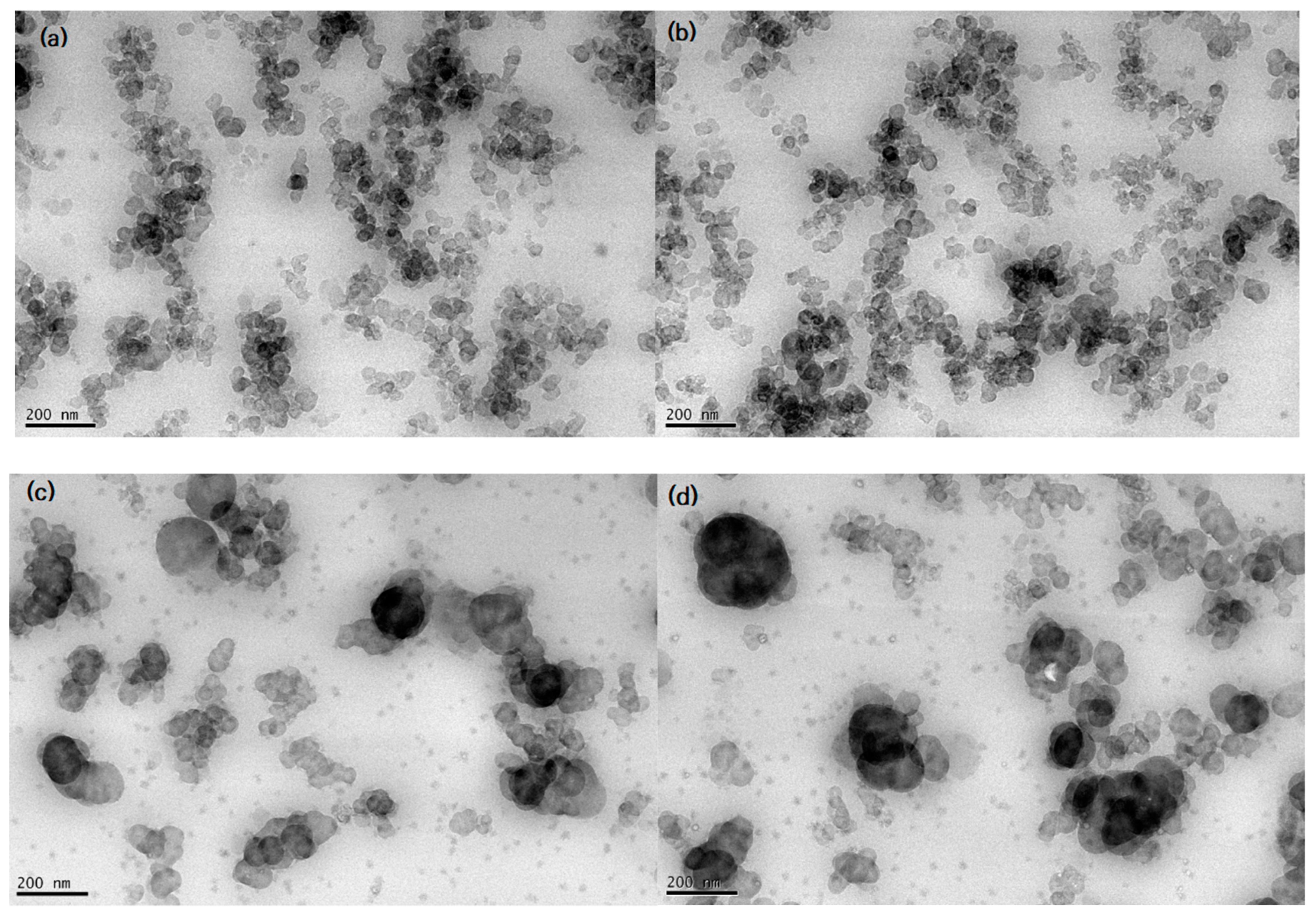 Polymers 15 00162 g003