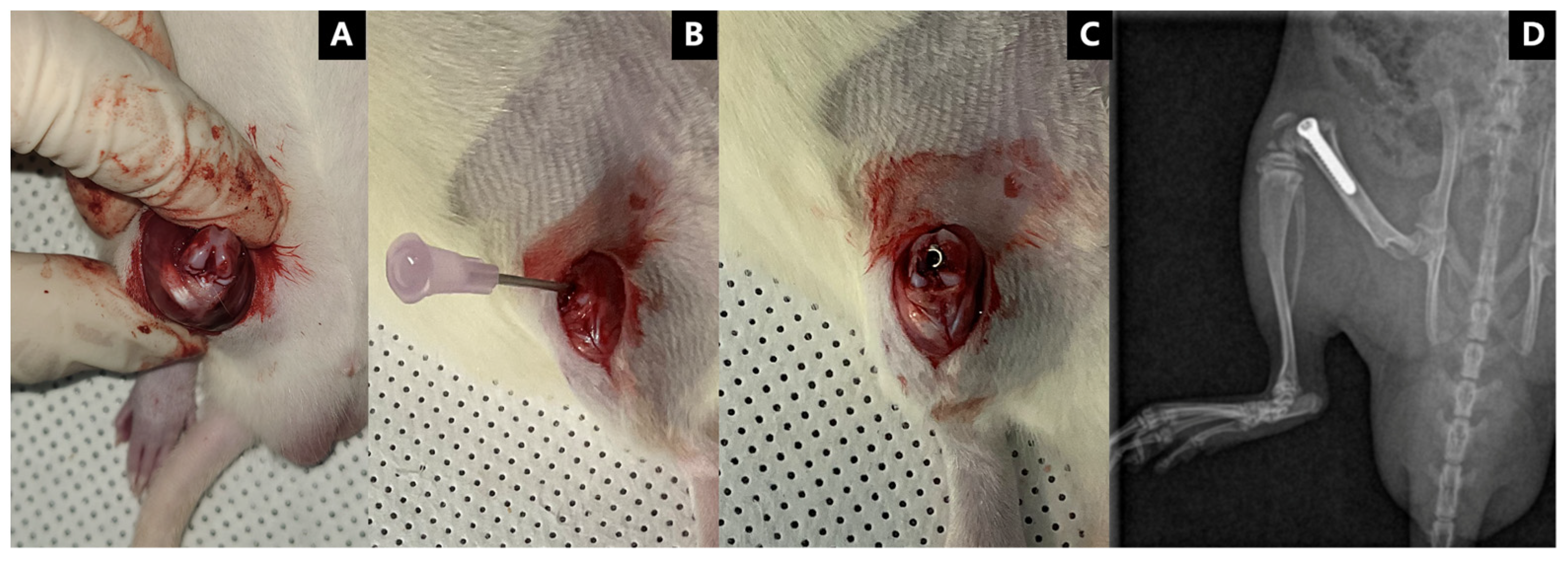 Polymers 15 00163 g001