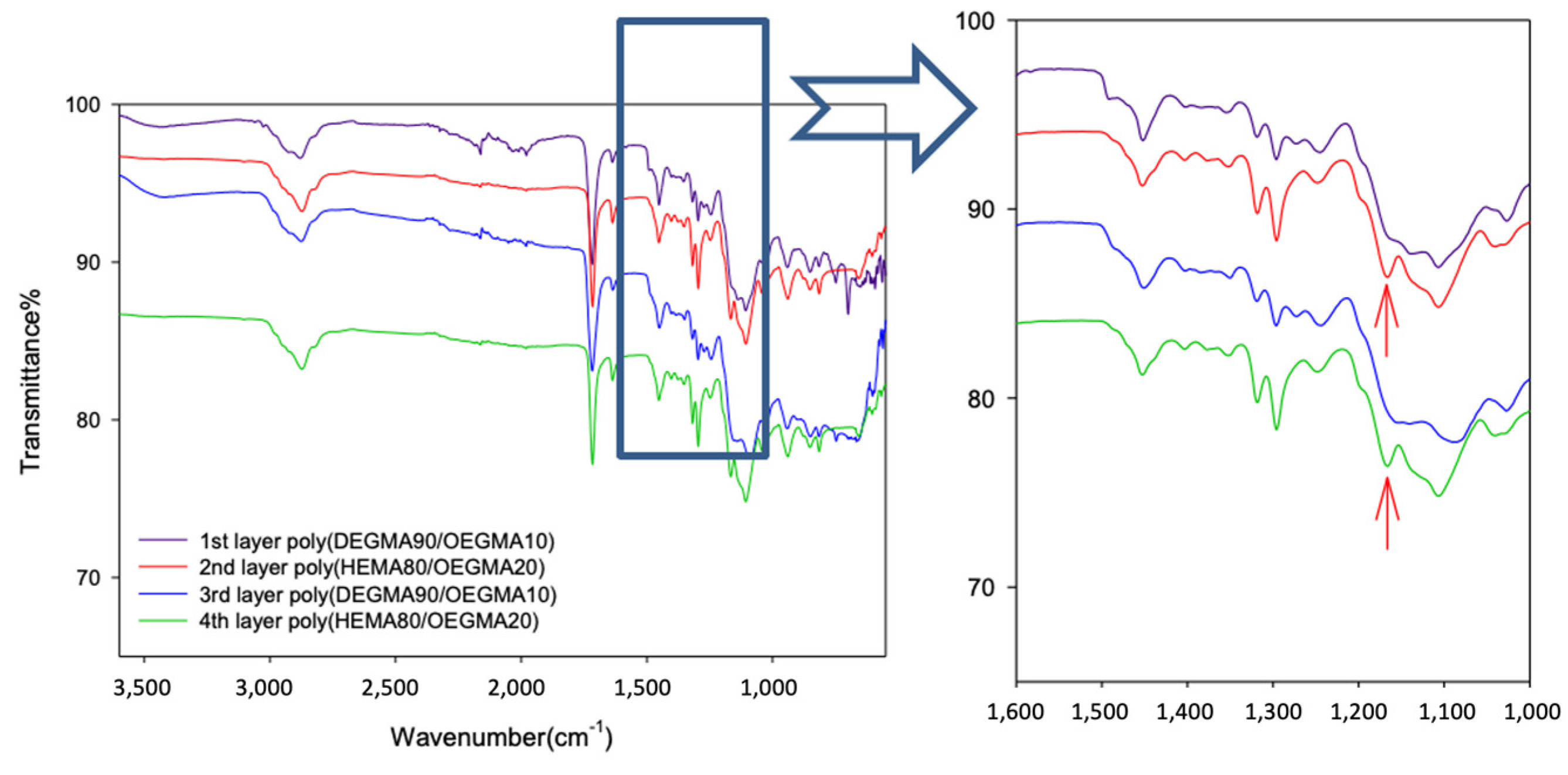 Polymers 15 00163 g003