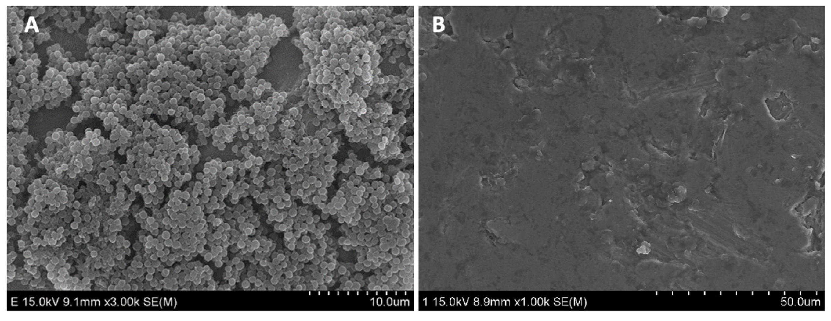 Polymers 15 00163 g006