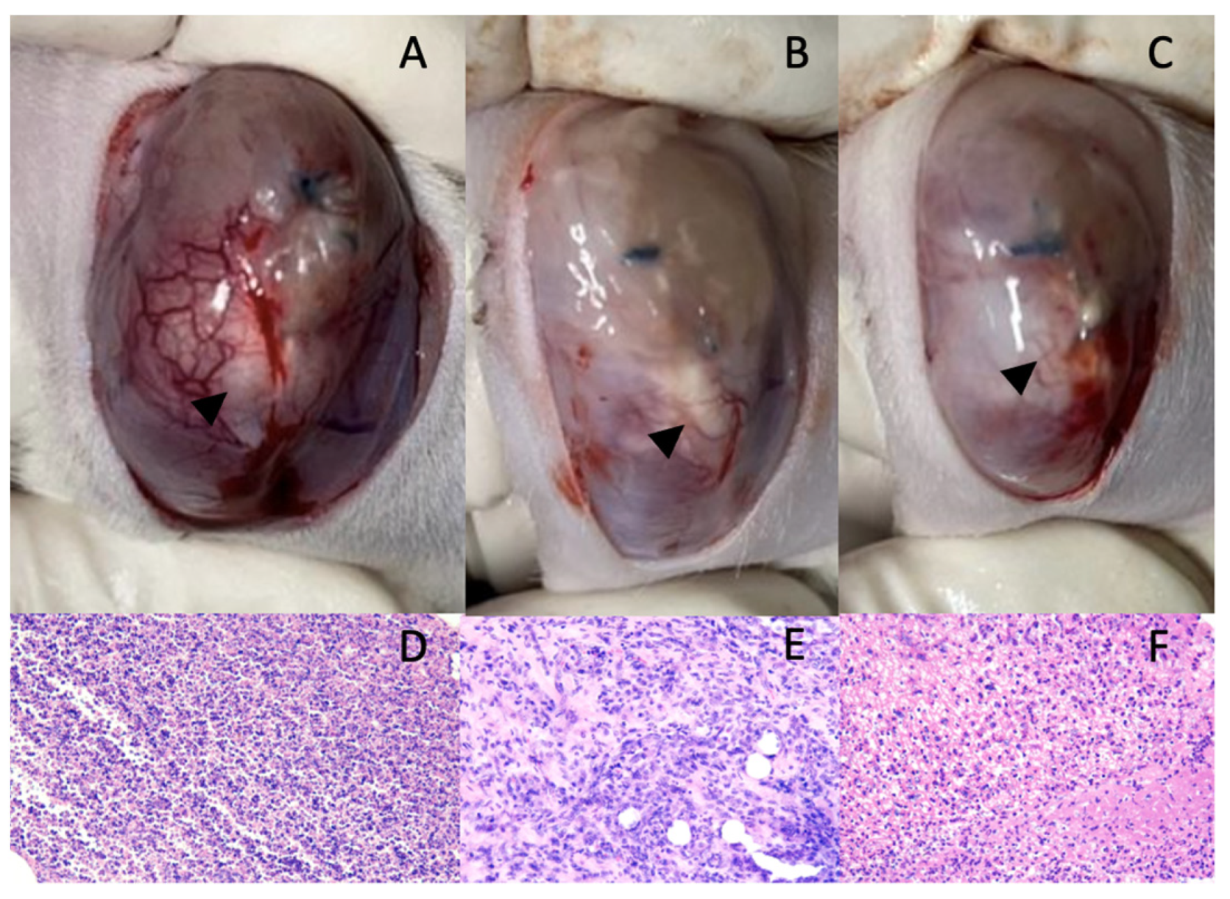 Polymers 15 00163 g009