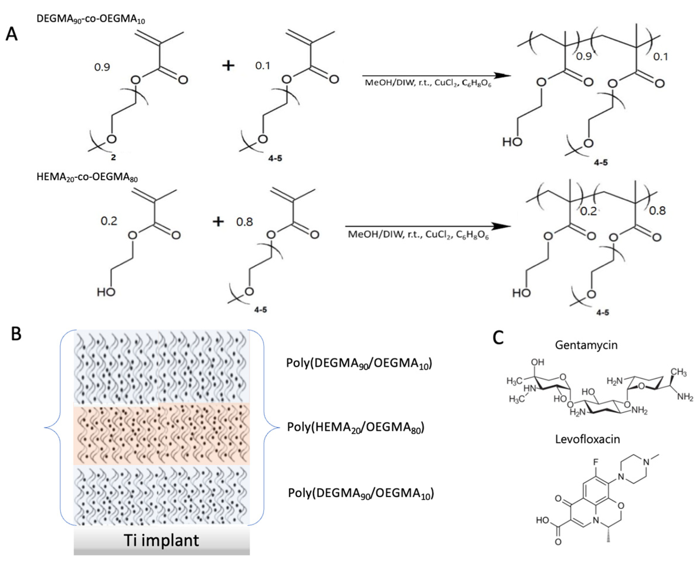 Polymers 15 00163 sch001