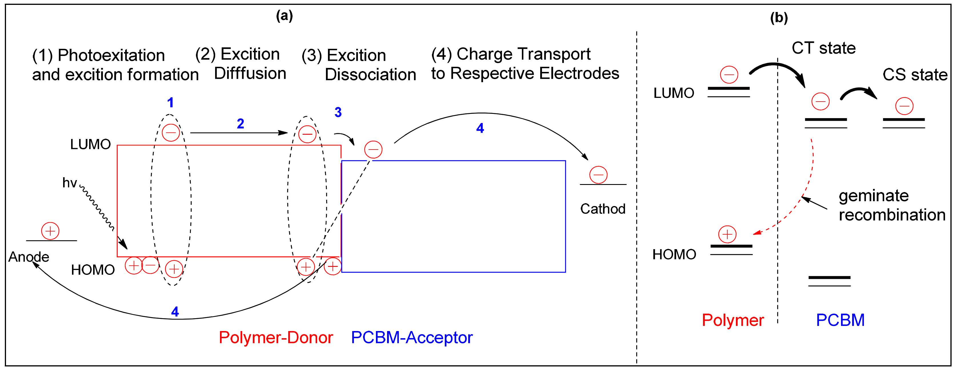 Polymers 15 00164 g012