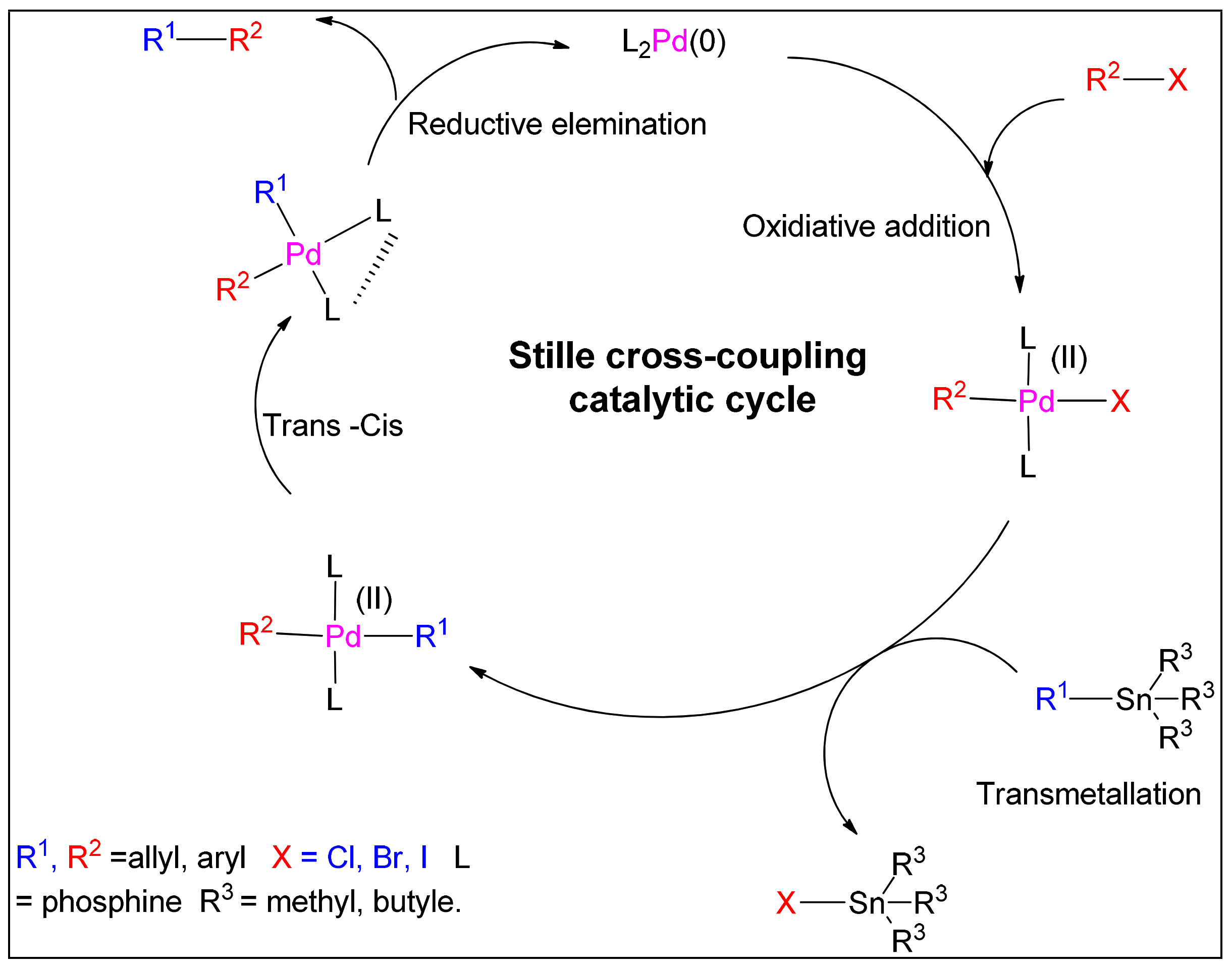 Polymers 15 00164 sch001