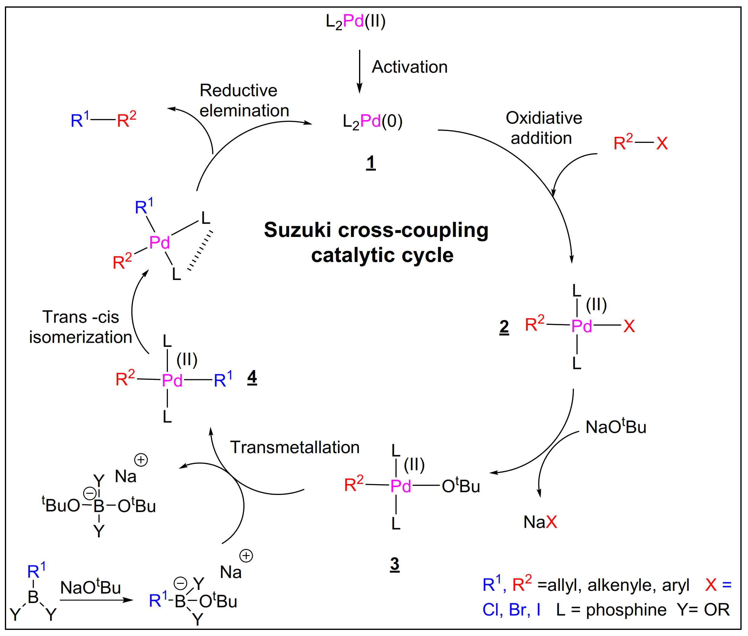 Polymers 15 00164 sch002