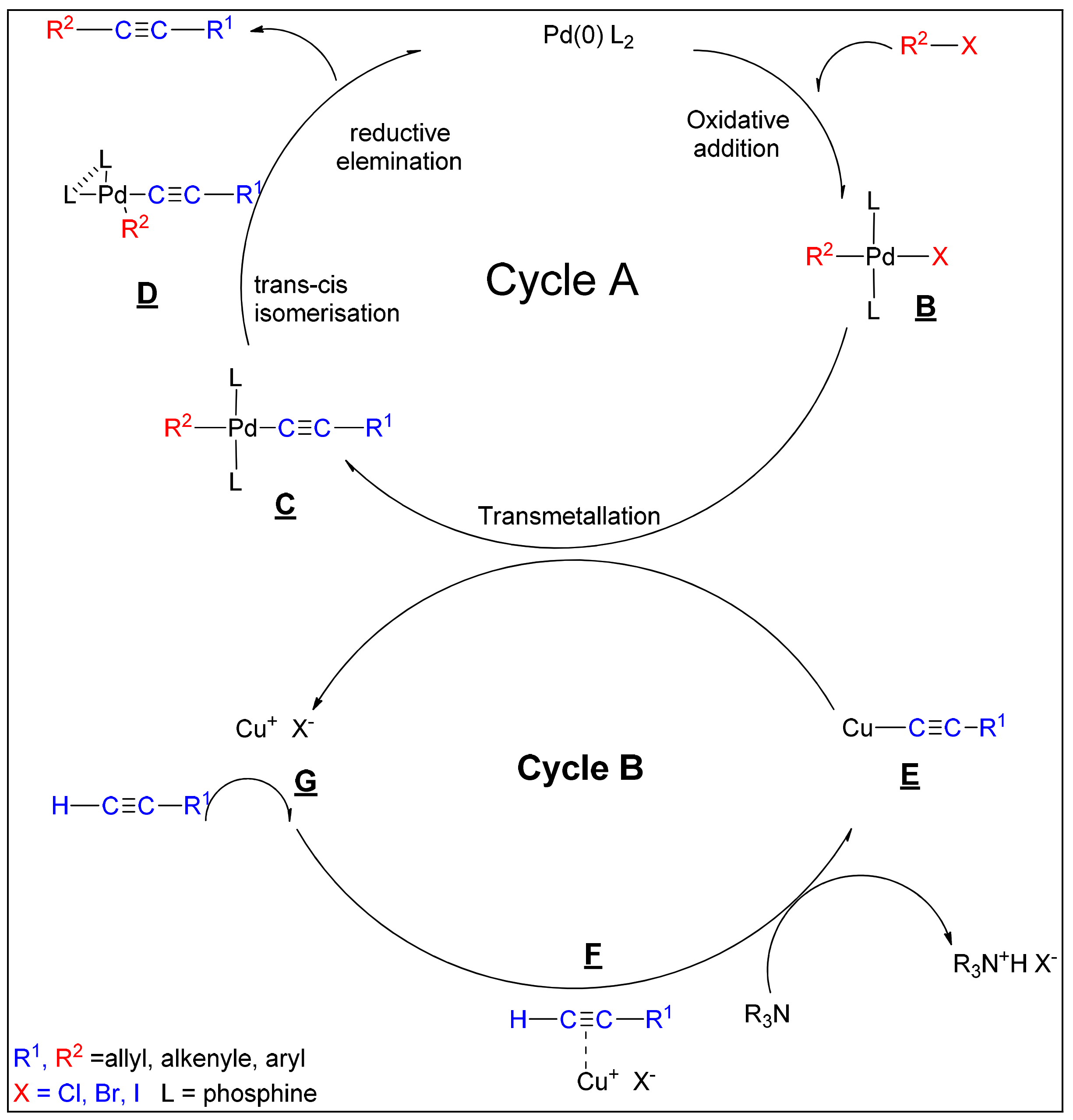 Polymers 15 00164 sch003