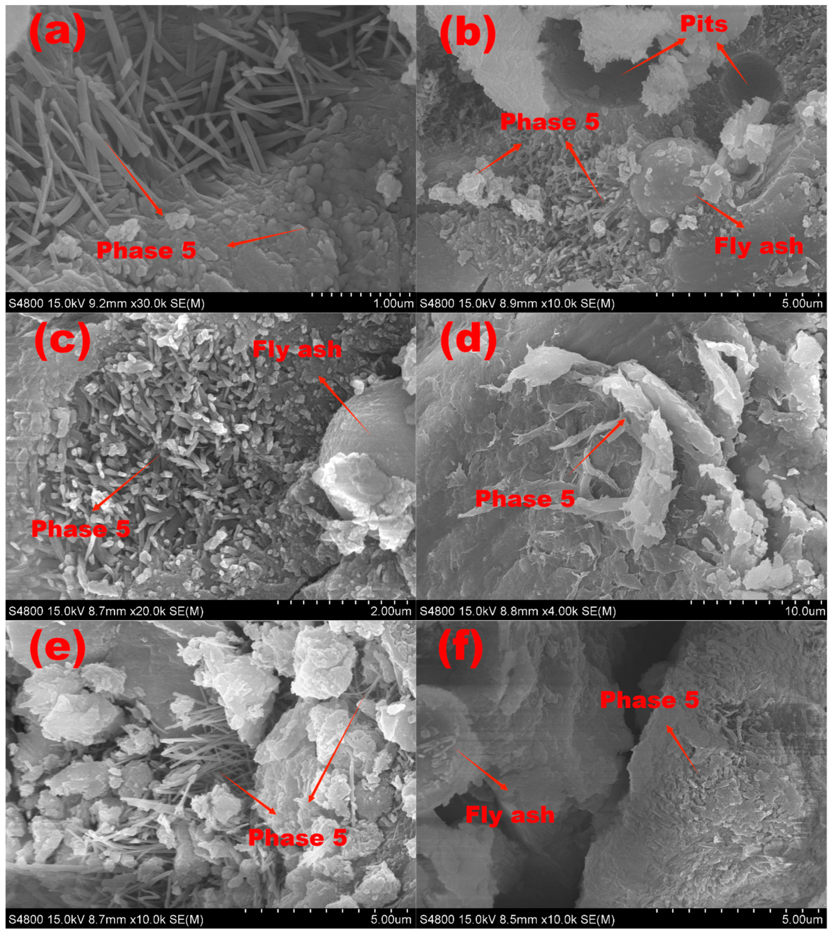 Polymers 15 00172 g015a Polymers 15 00172 g015a