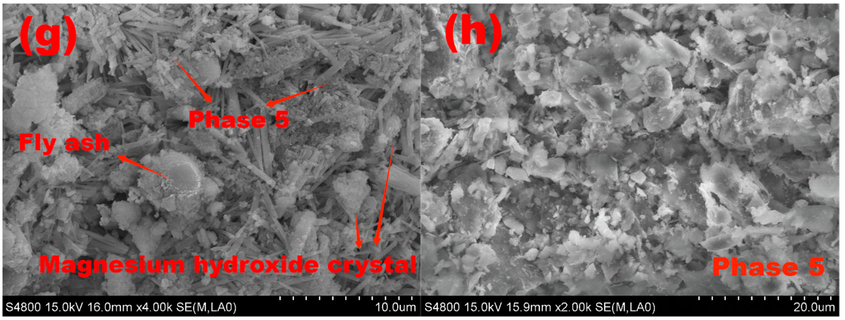 Polymers 15 00172 g015b Polymers 15 00172 g015b