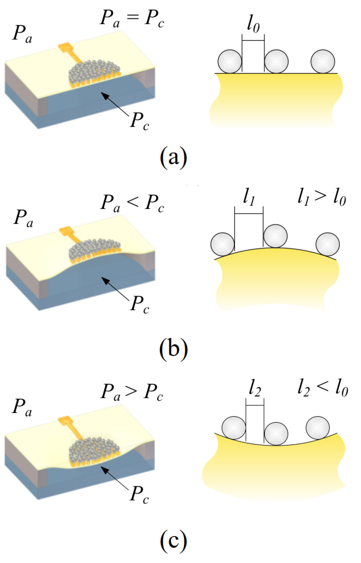 Polymers 15 00180 g002